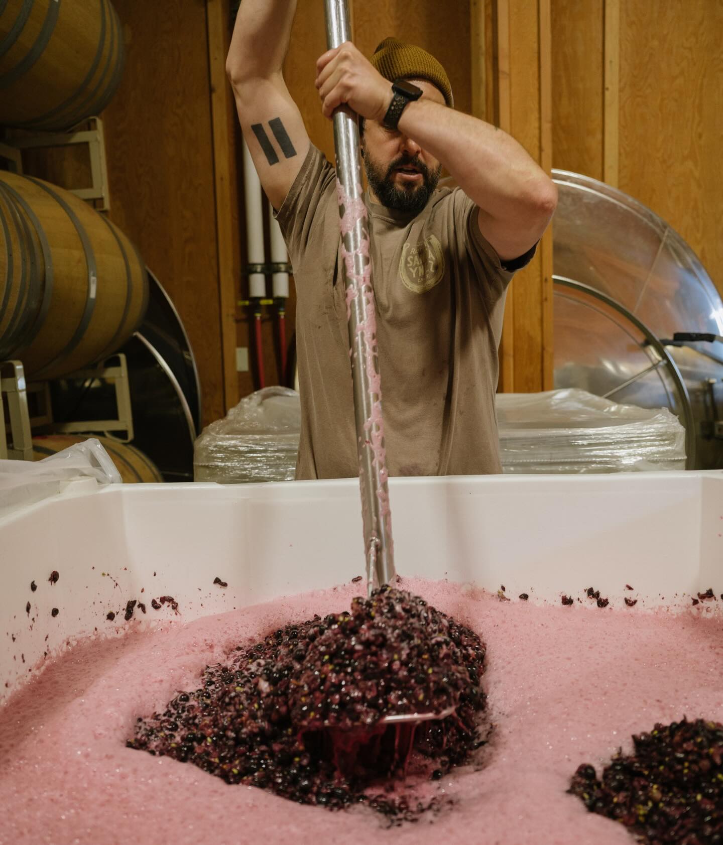 Carhartt Family Wines Los Olivos