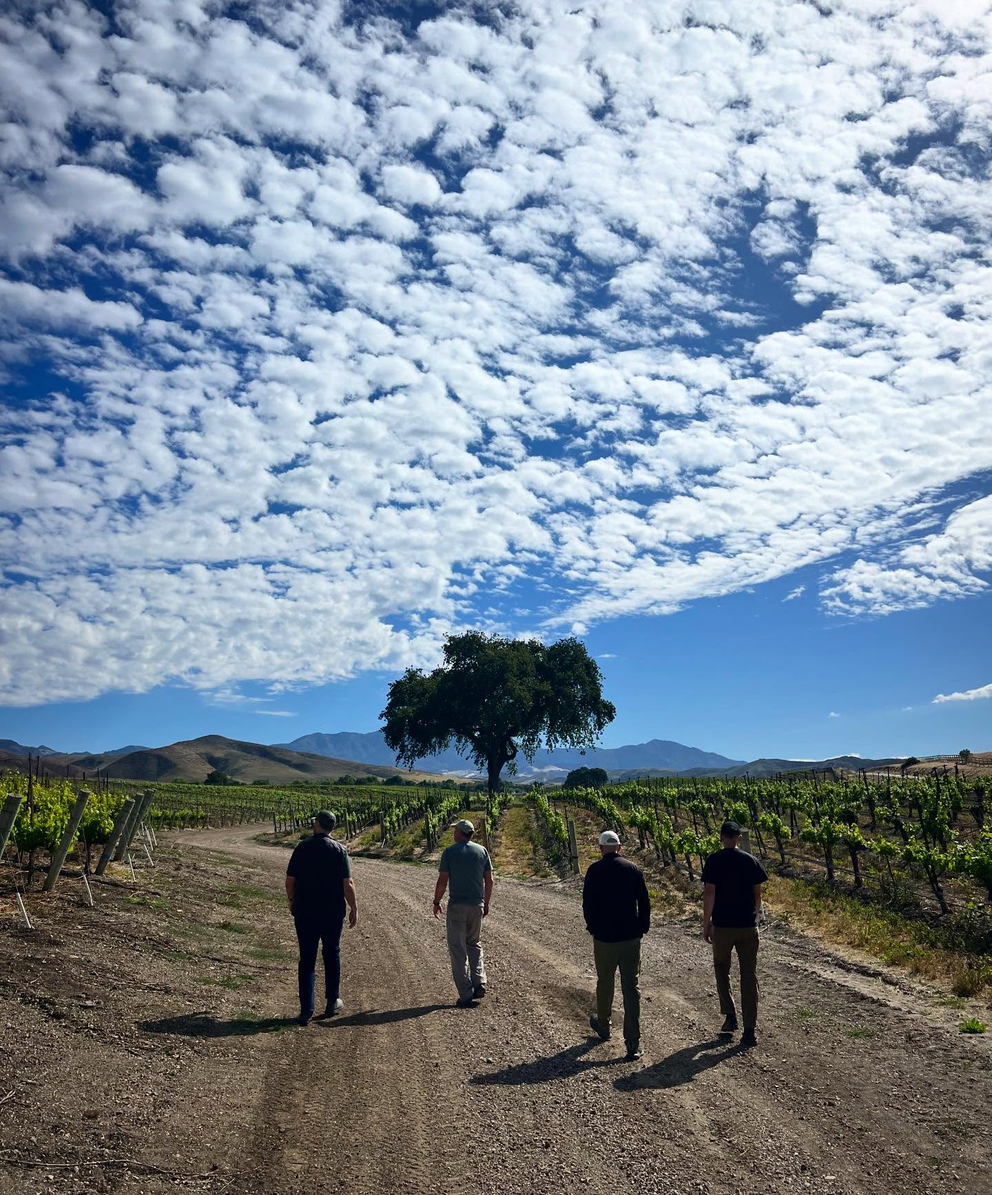 Dragonette Cellars Los Olivos