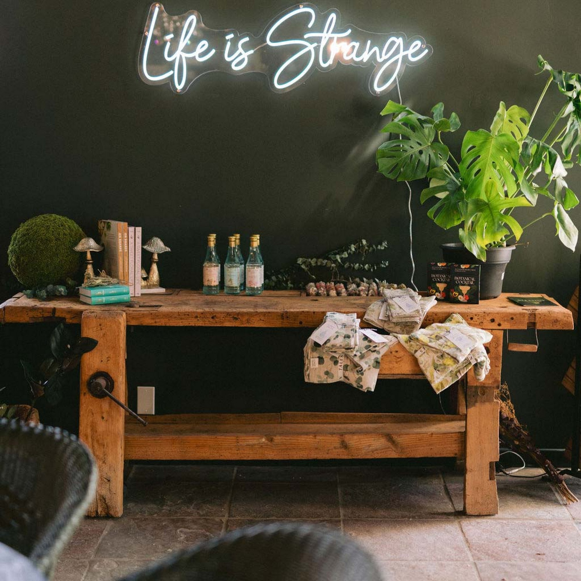 Strange Family Vineyards Tasting Room Los Olivos