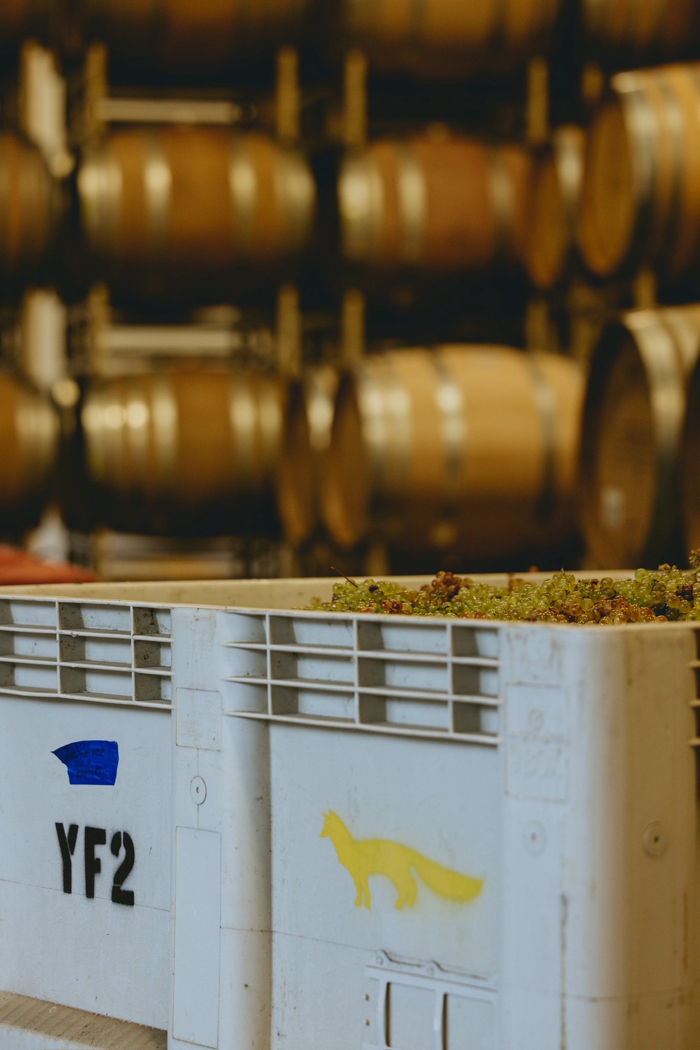 Koehler Winery Los Olivos