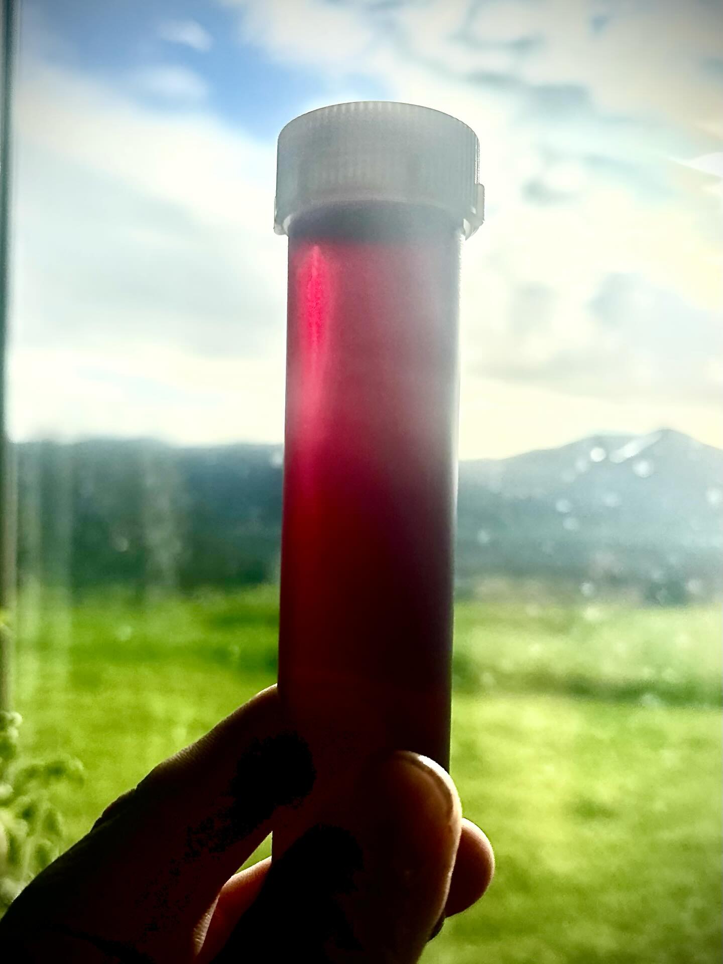 tercero wines Los Olivos