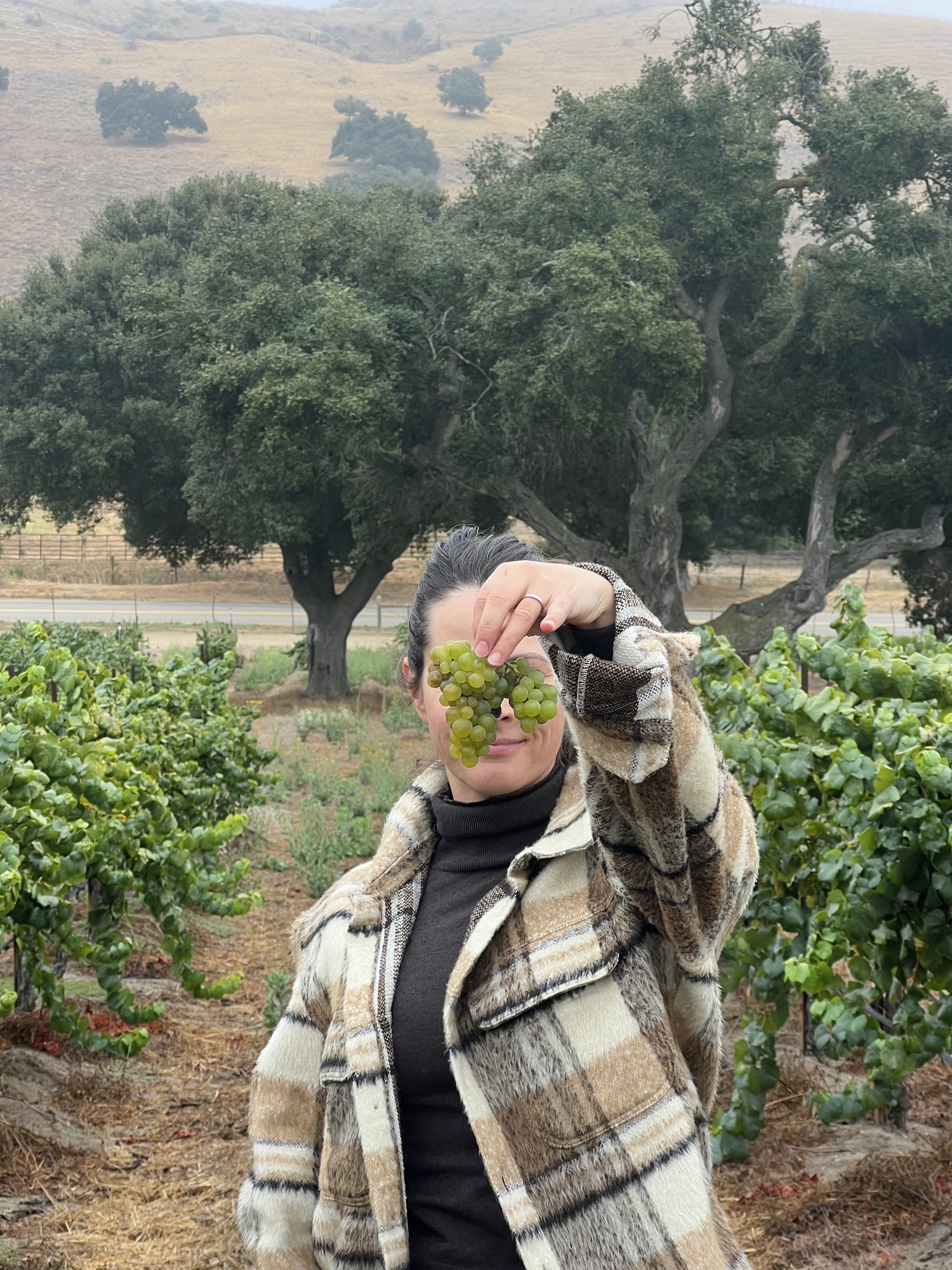 Dreamcôte Wine Co. Los Olivos