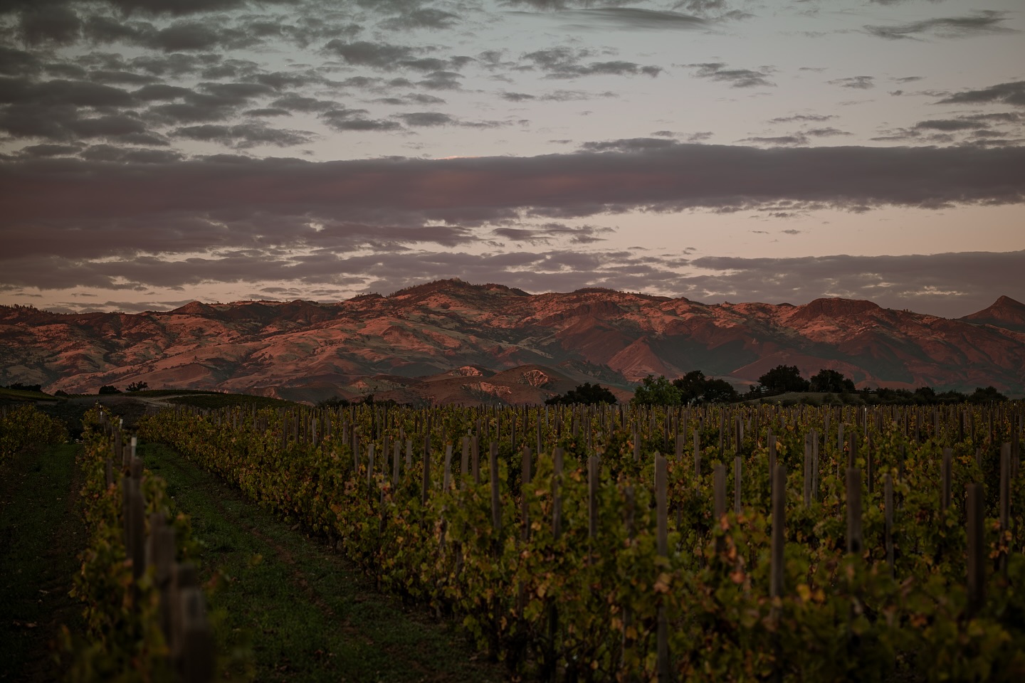 Grimm's Bluff - Tasting Room Los Olivos