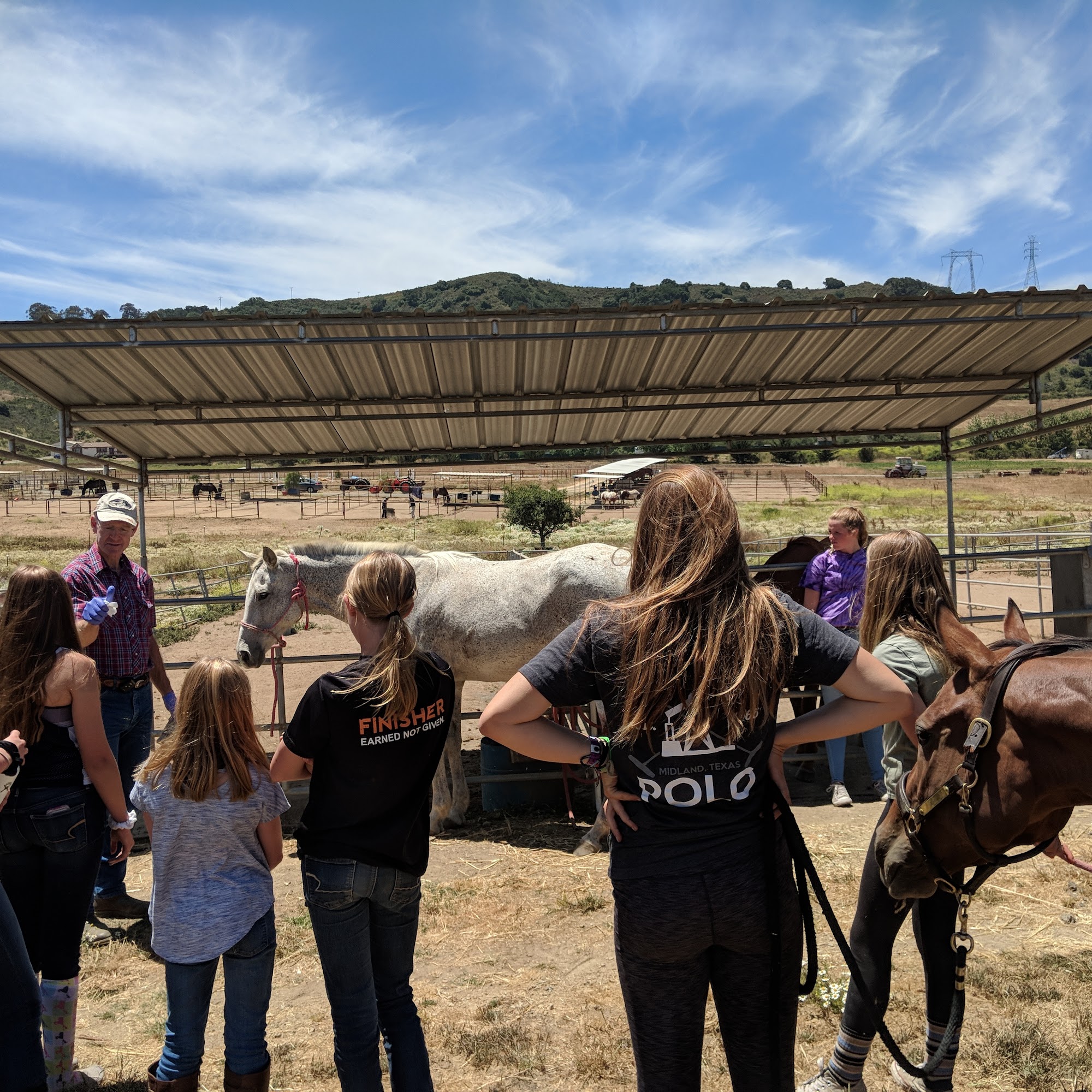 Large Animal Practice Los Osos