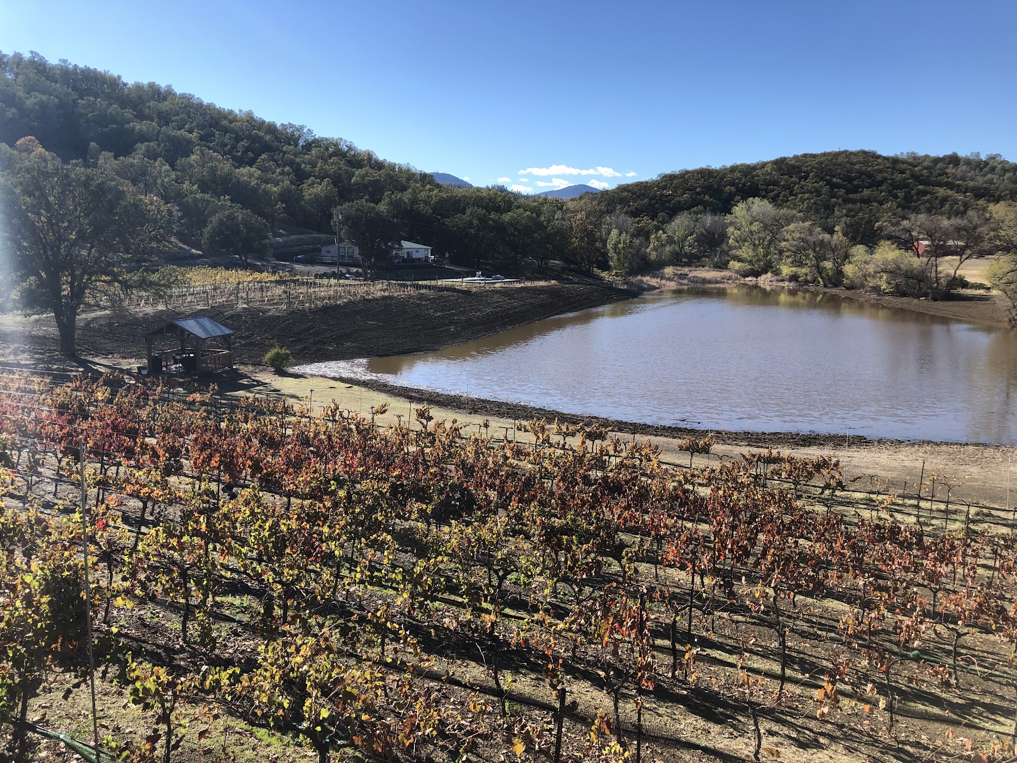 Fults Family Vineyards Lower Lake