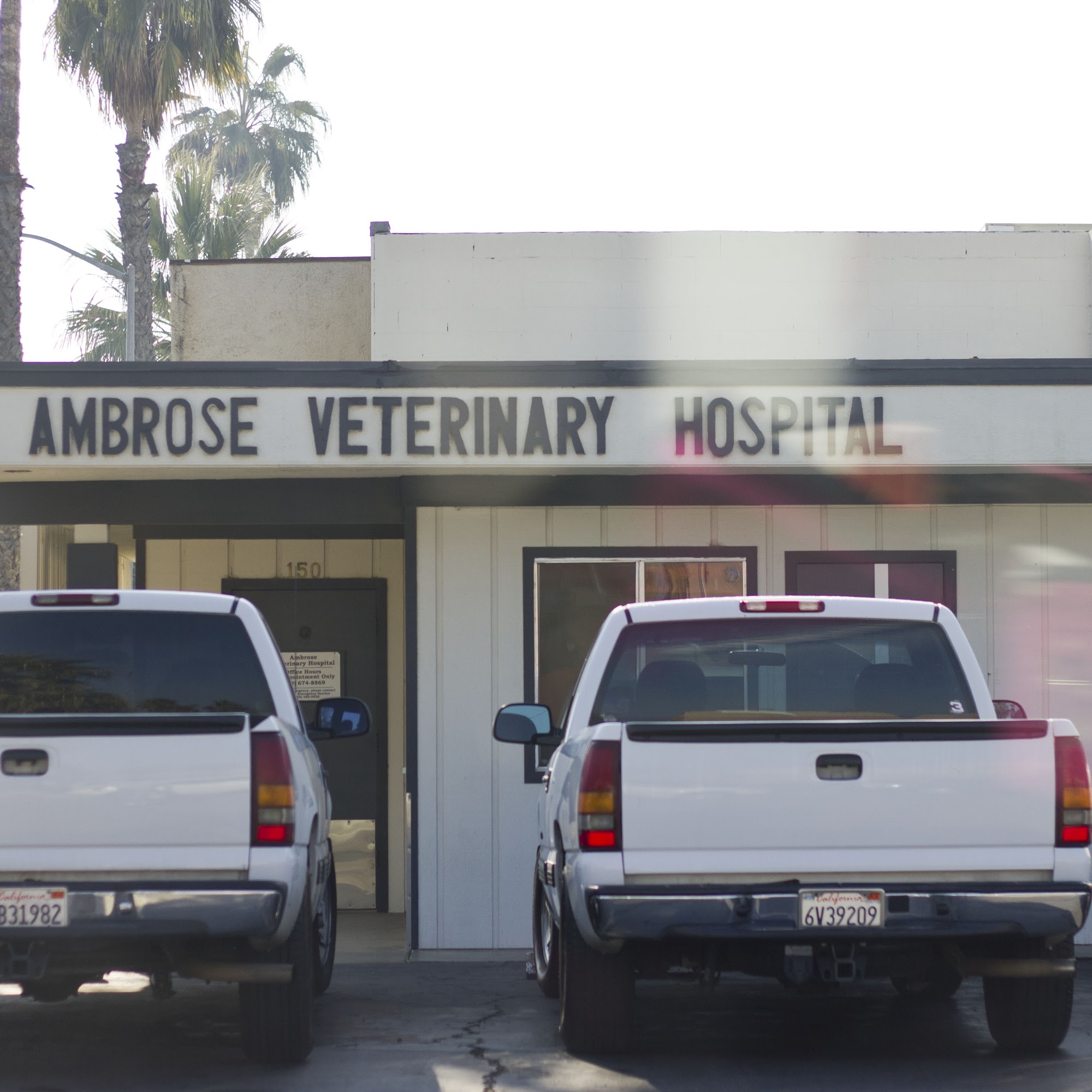 Ambrose Veterinary Hospital Madera