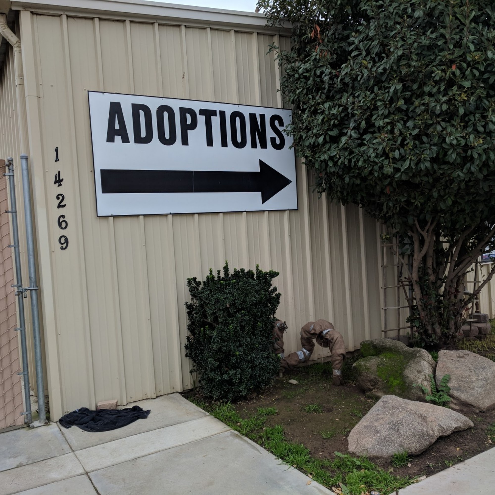 Madera County Animal Services Madera