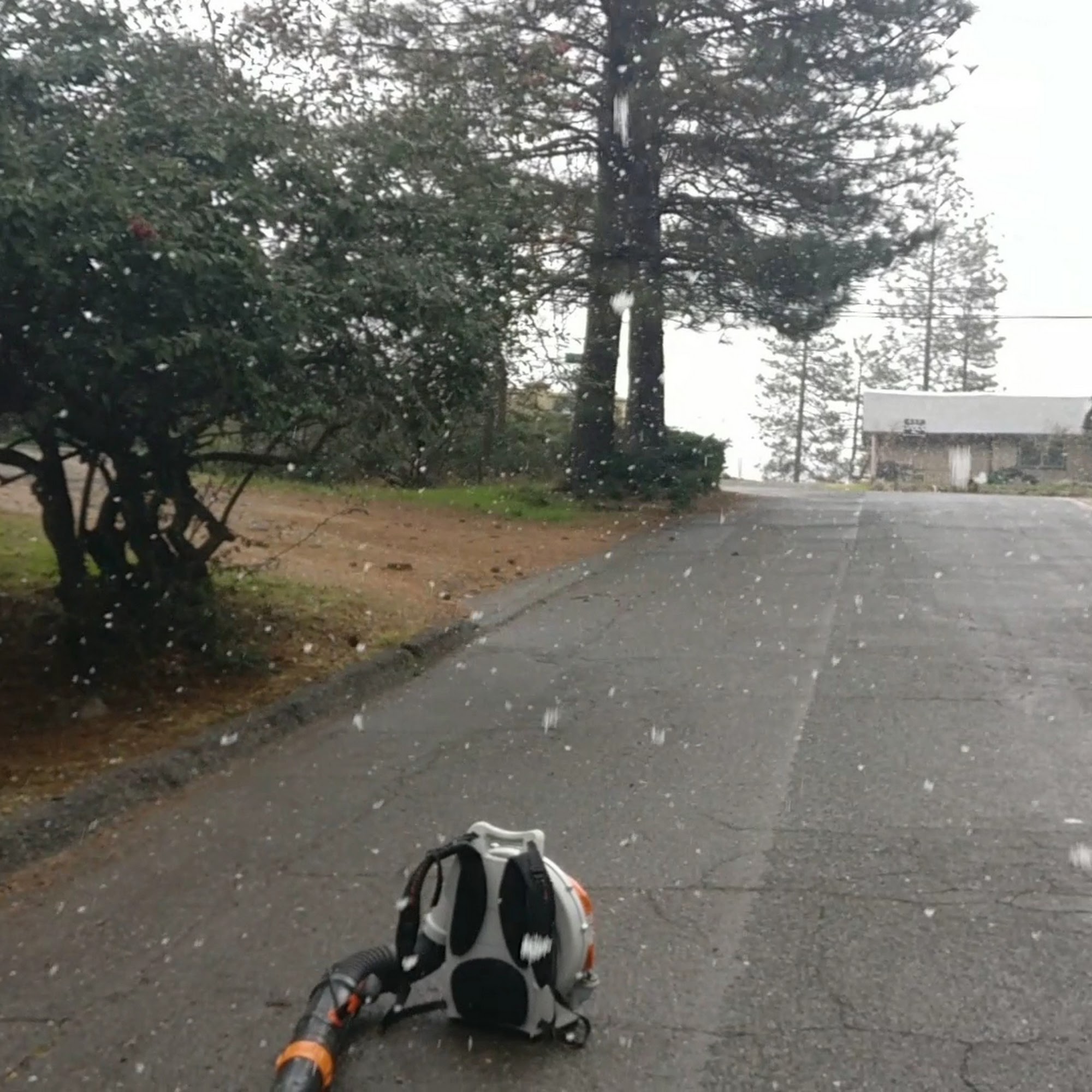 Magalia Pet Hospital Magalia