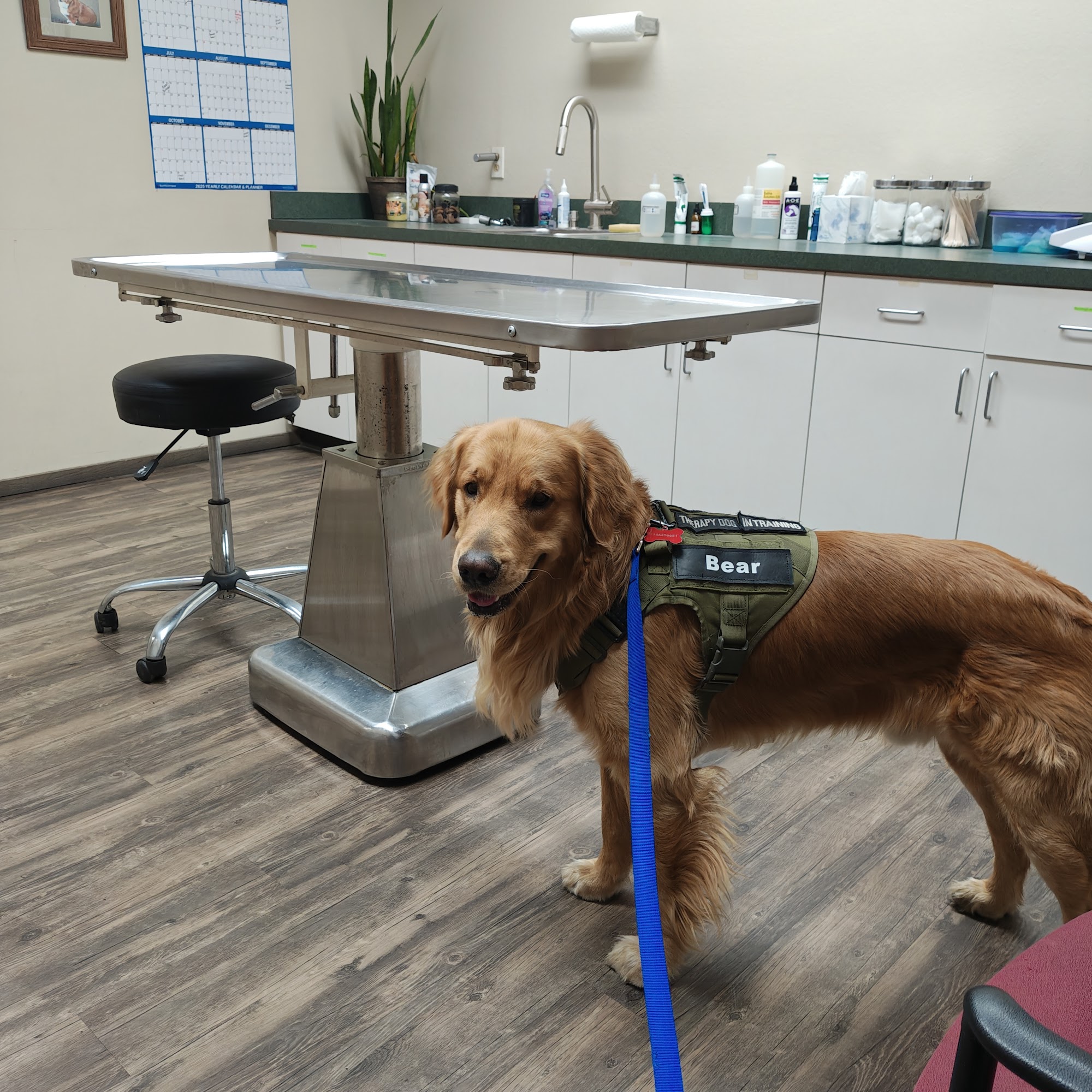 Bishop Veterinary Hospital at Mammoth Mammoth Lakes