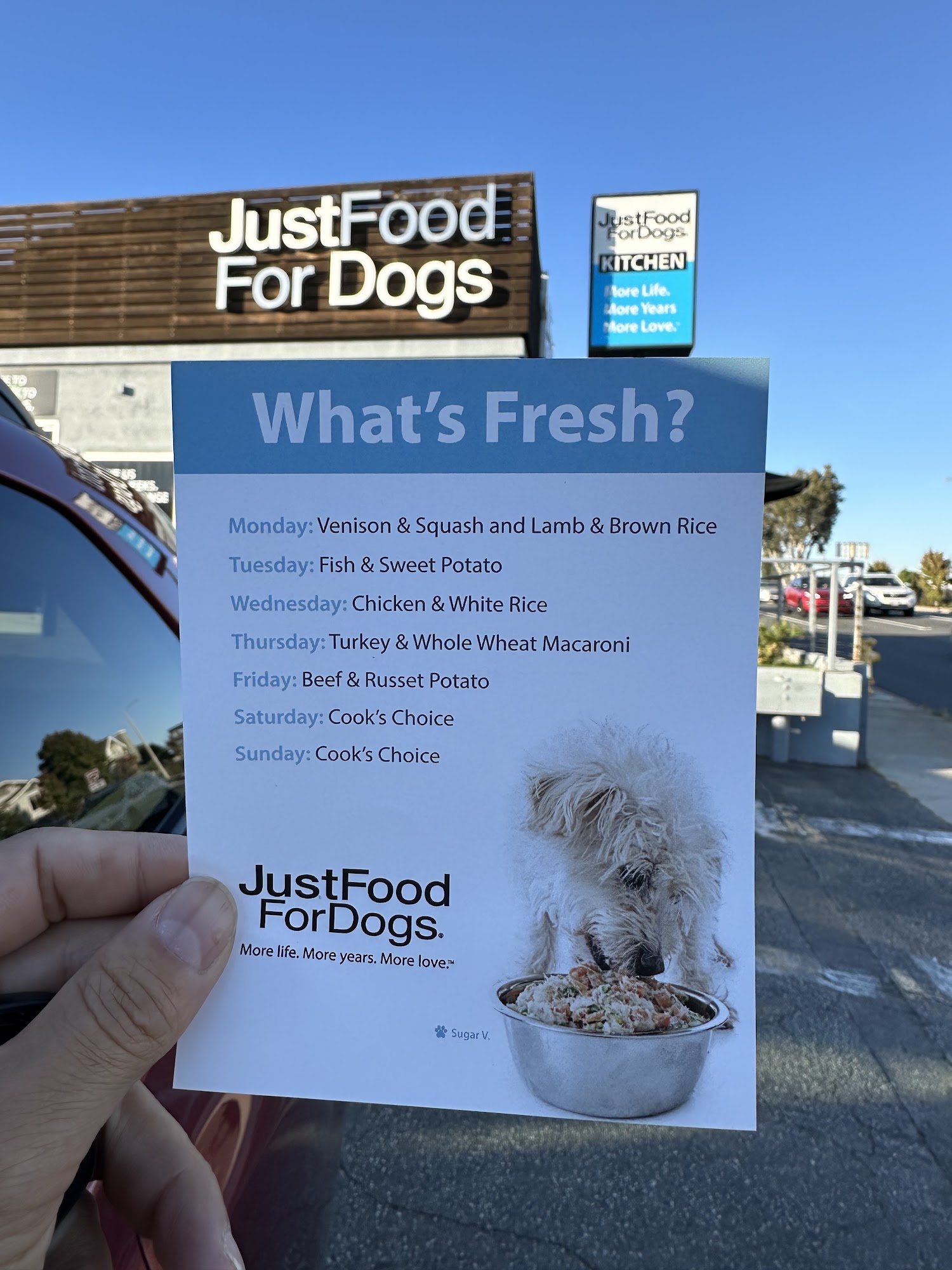 Just Food For Dogs Manhattan Beach