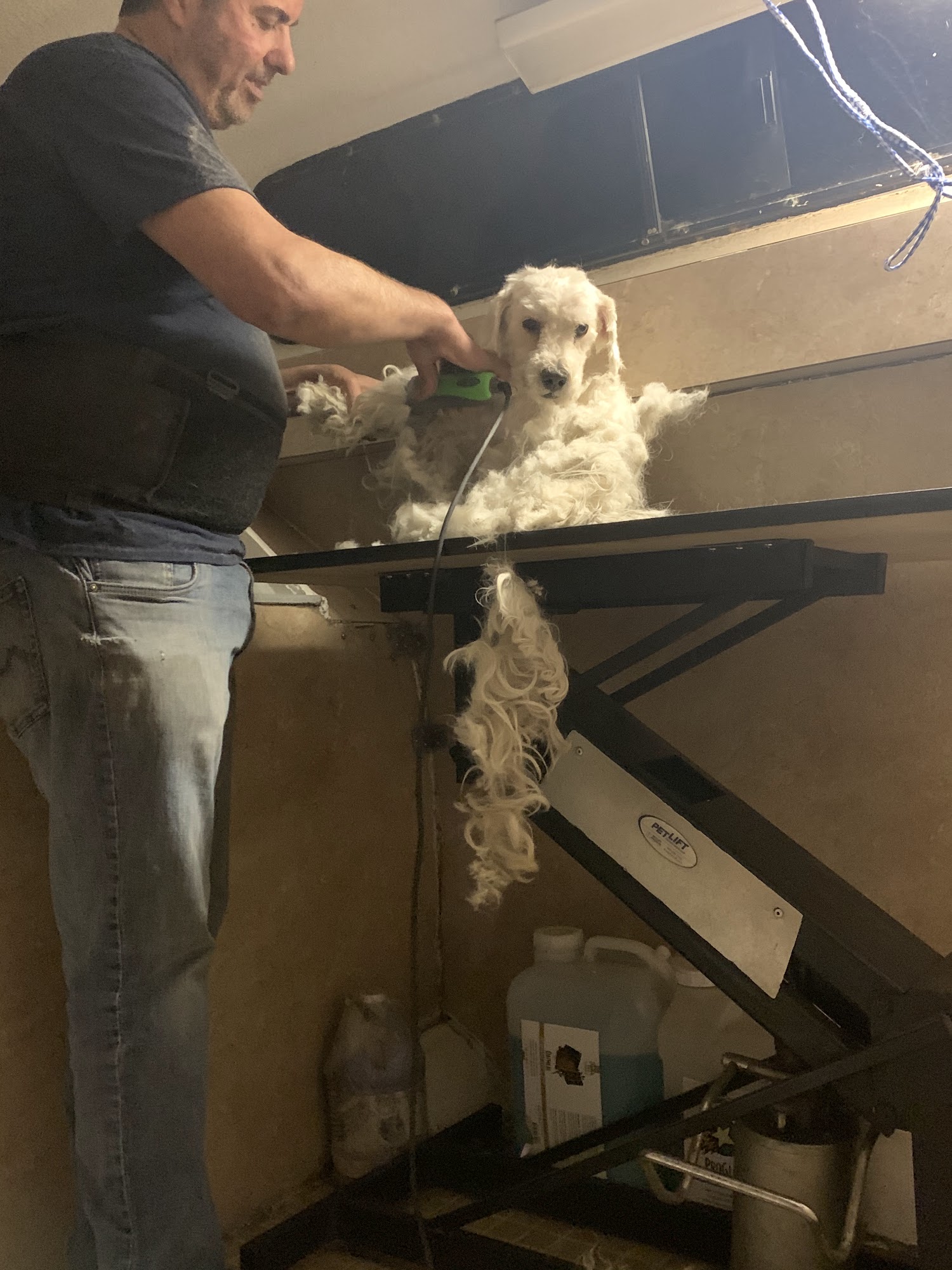 Daisy Mobile Pet Grooming Manhattan Beach