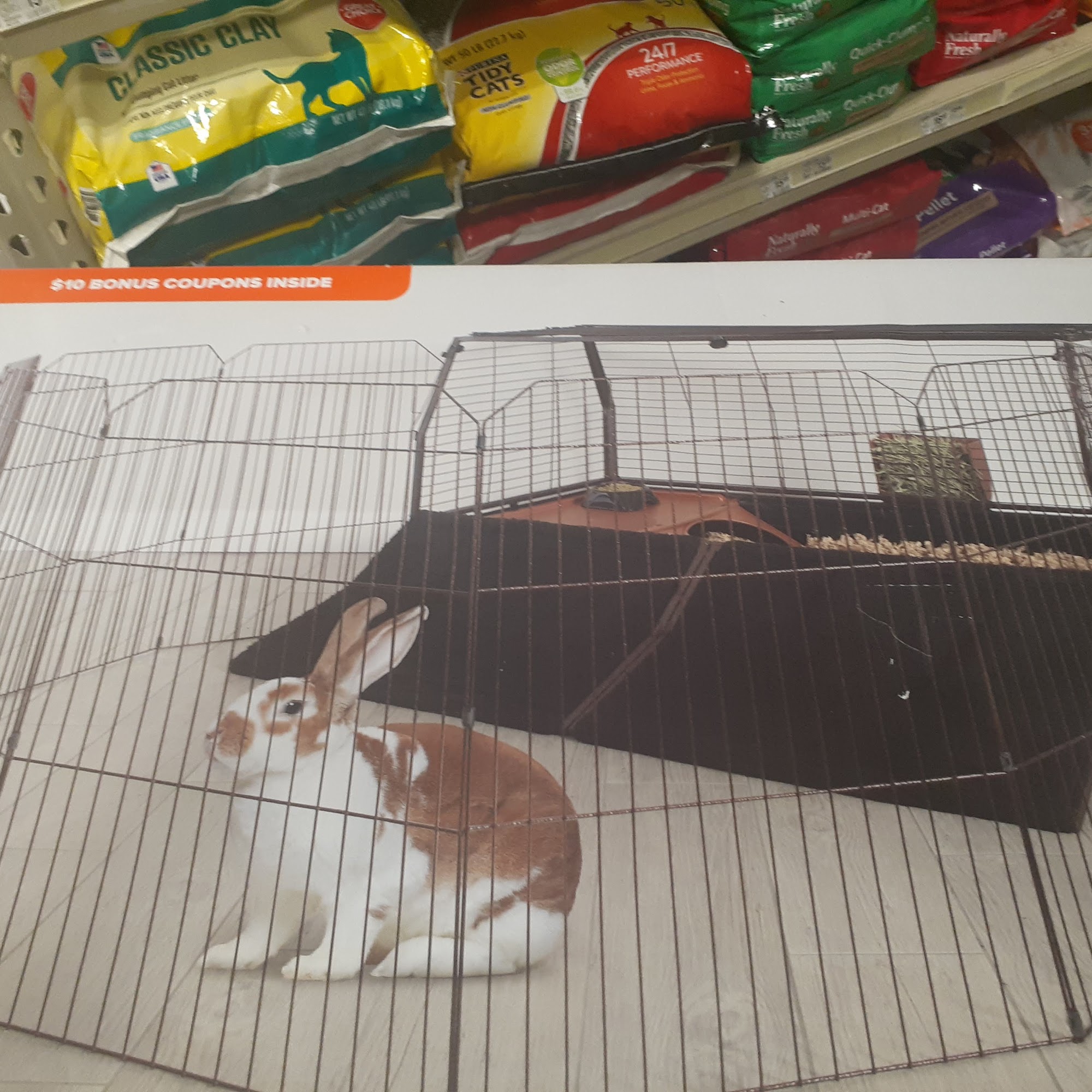 PetSmart Manteca