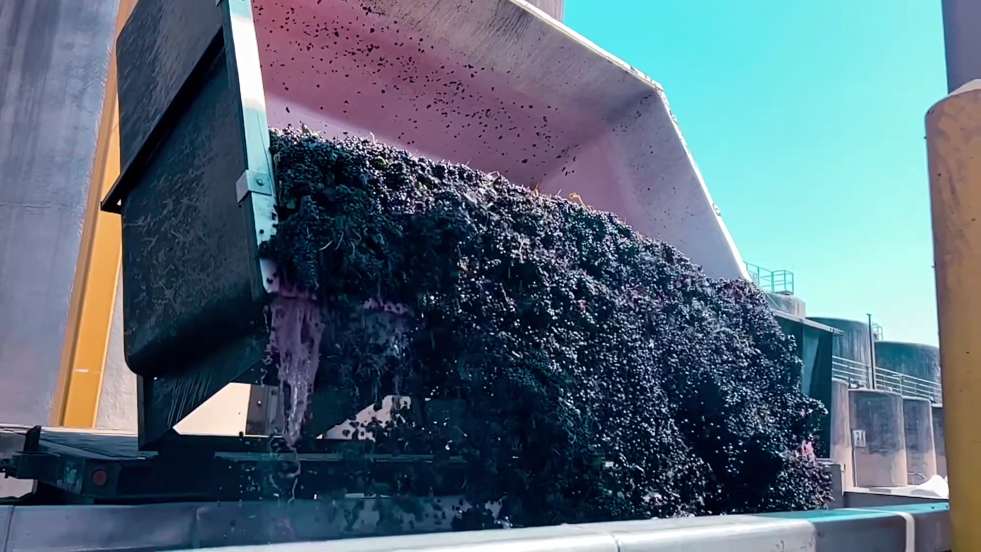 Delicato Family Wines Tasting Room Menu