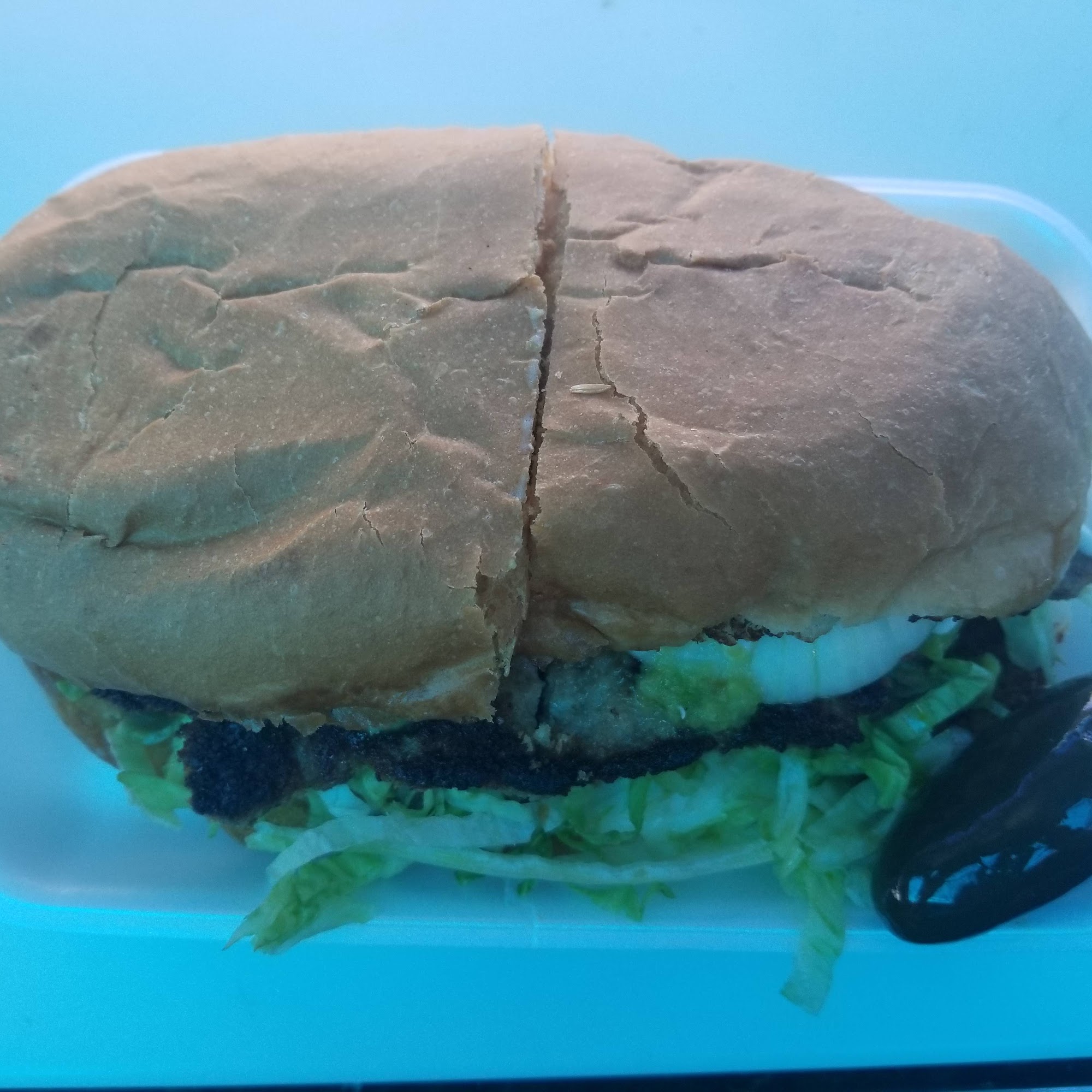 Moreno's Catering (Taco Truck) Manteca