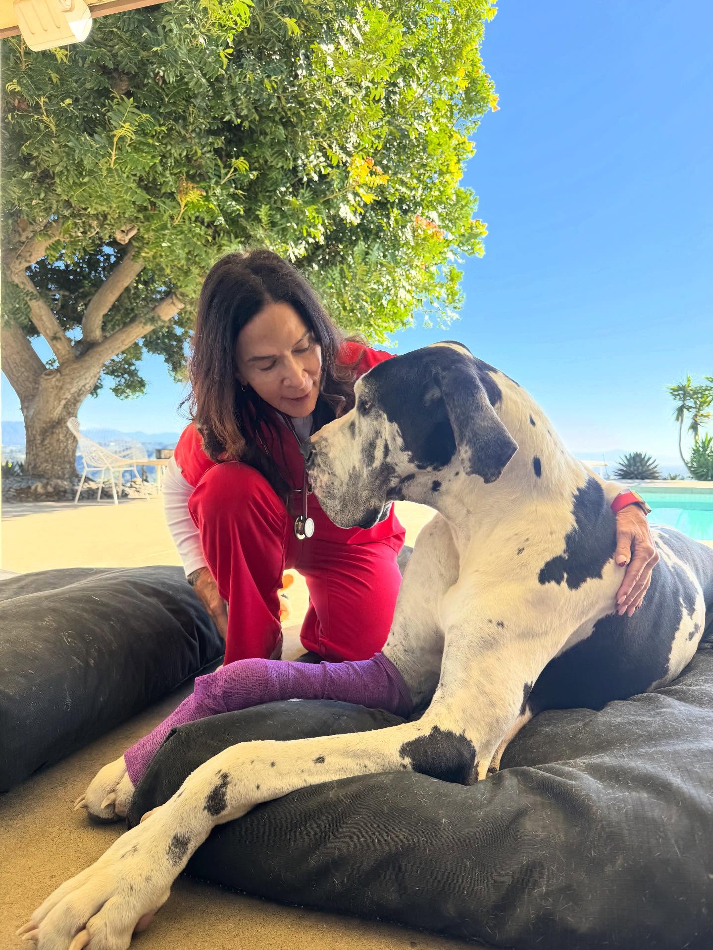 Elite Veterinary Care Marina del Rey