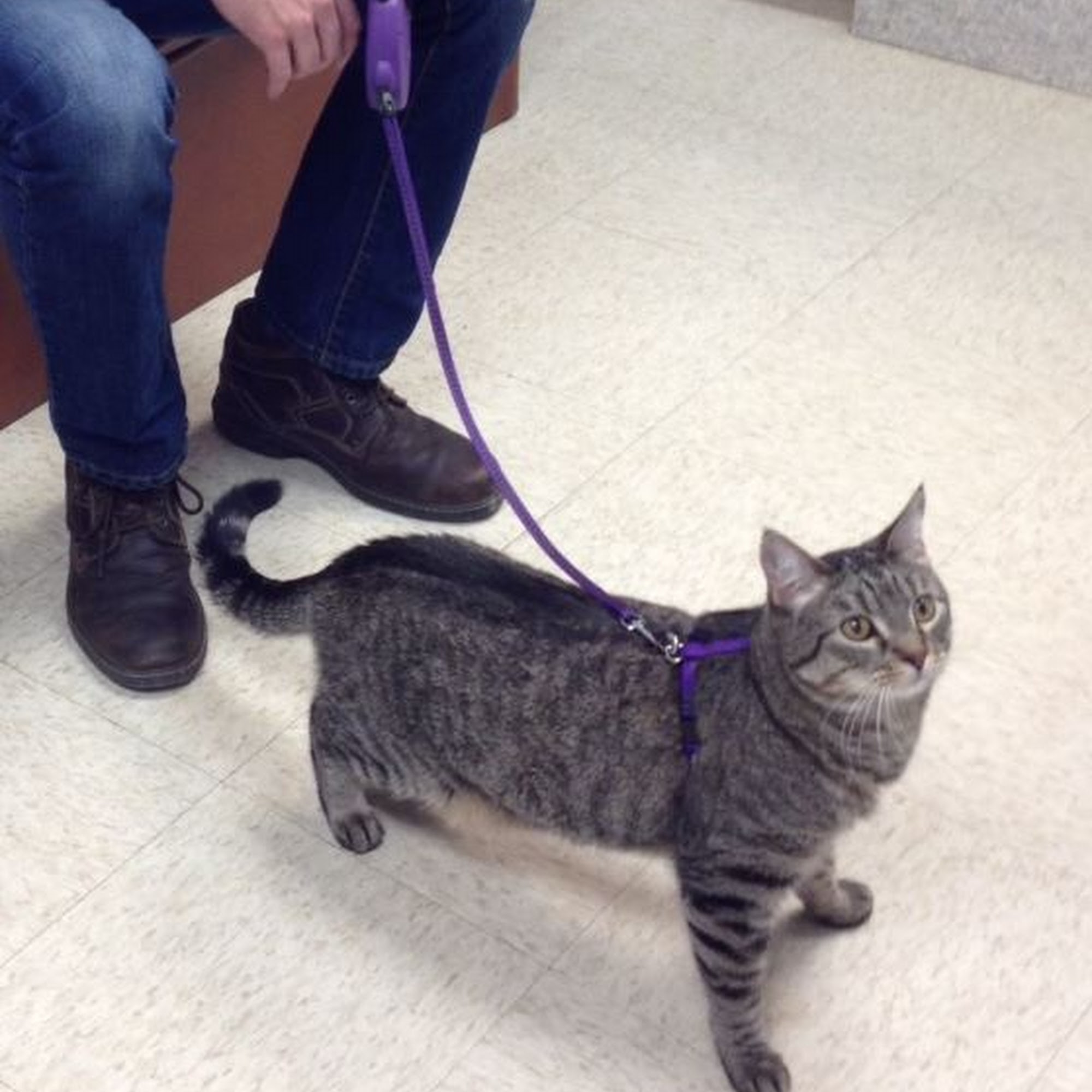 All Creatures Veterinary Hospital, zinc. Mariposa