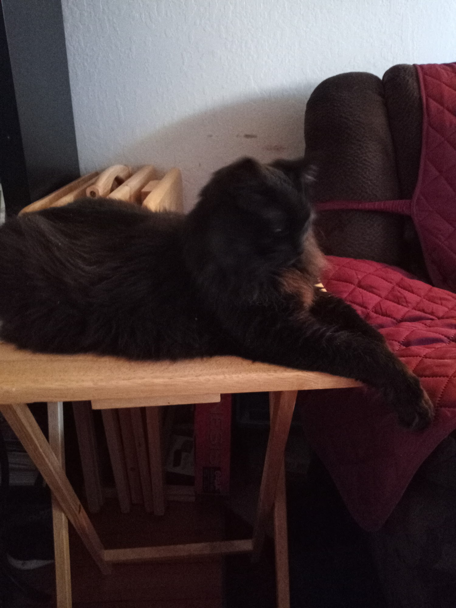 Pet Food Express Martinez