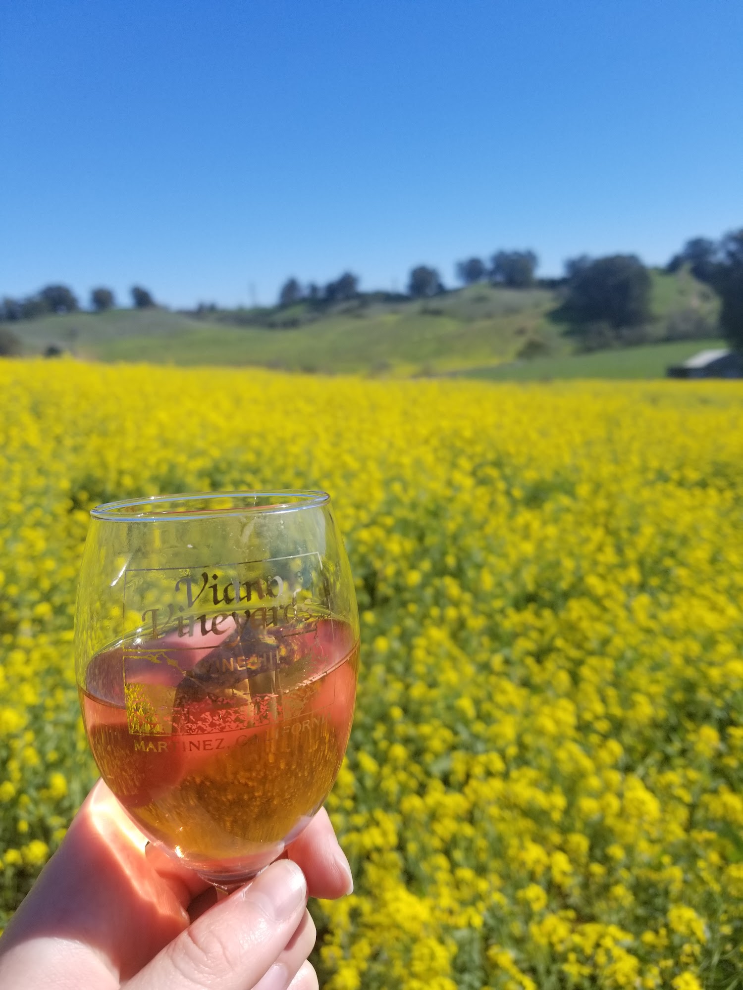 Viano Winery & Vineyards Menu