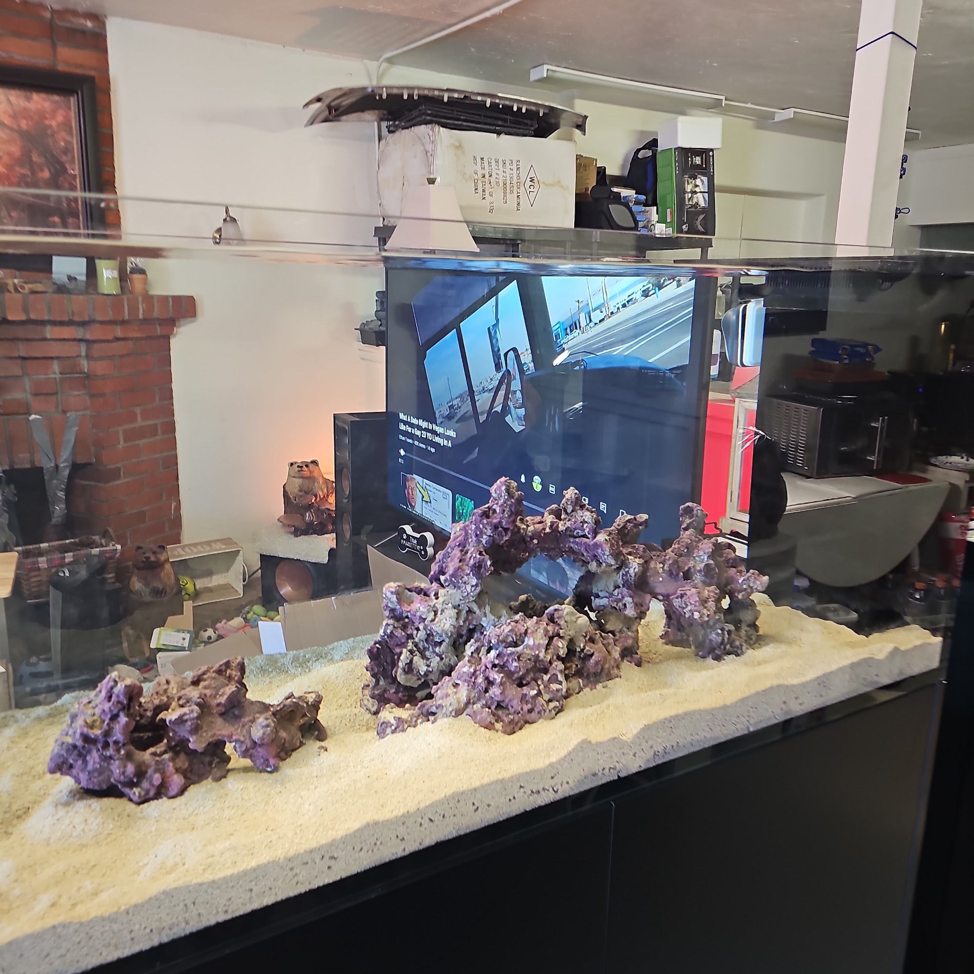 Reef Racket LLC Martinez