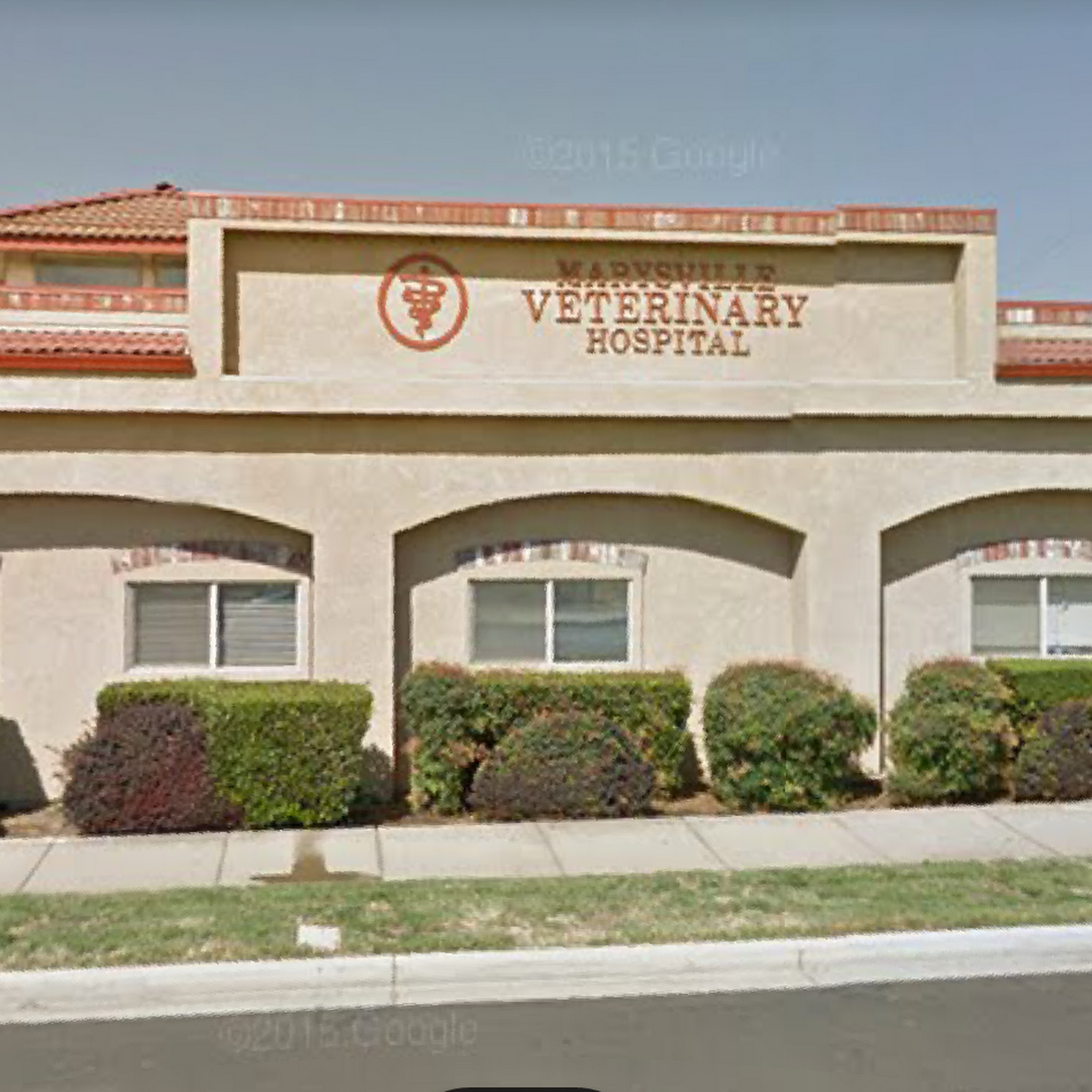 Marysville Veterinary Hospital Marysville