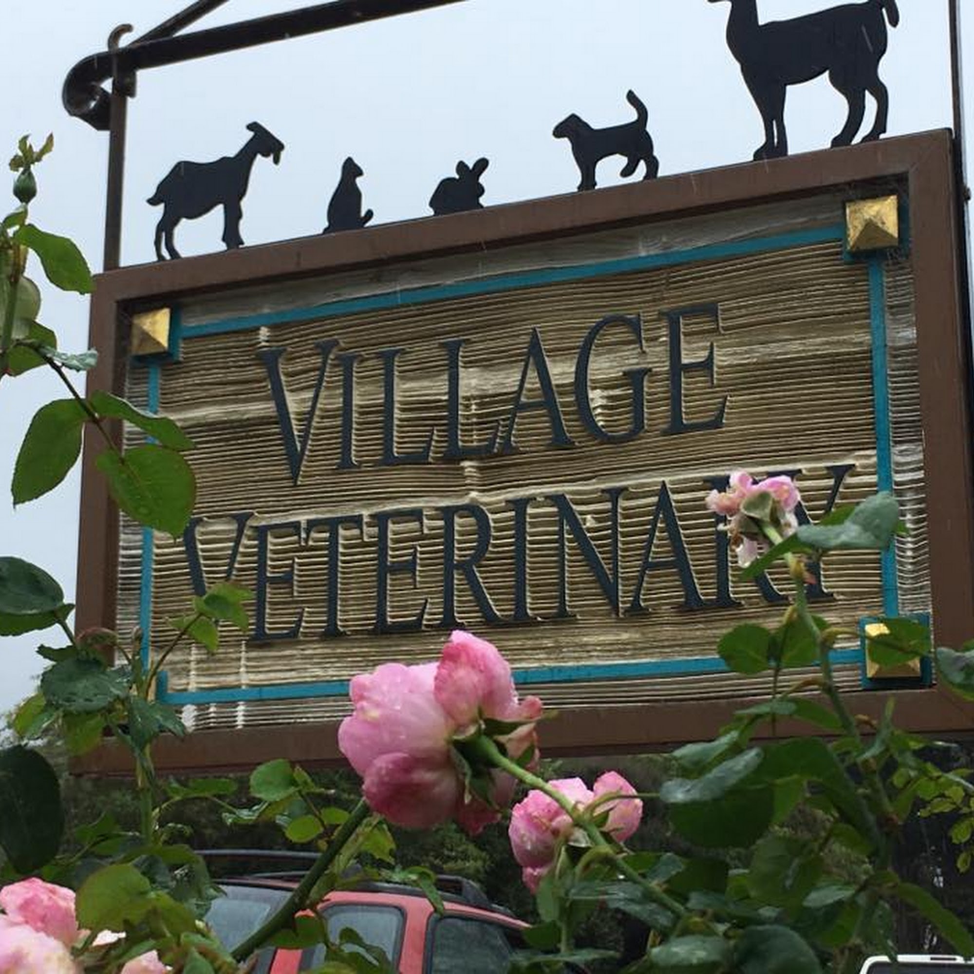 Village Veterinary Mendocino