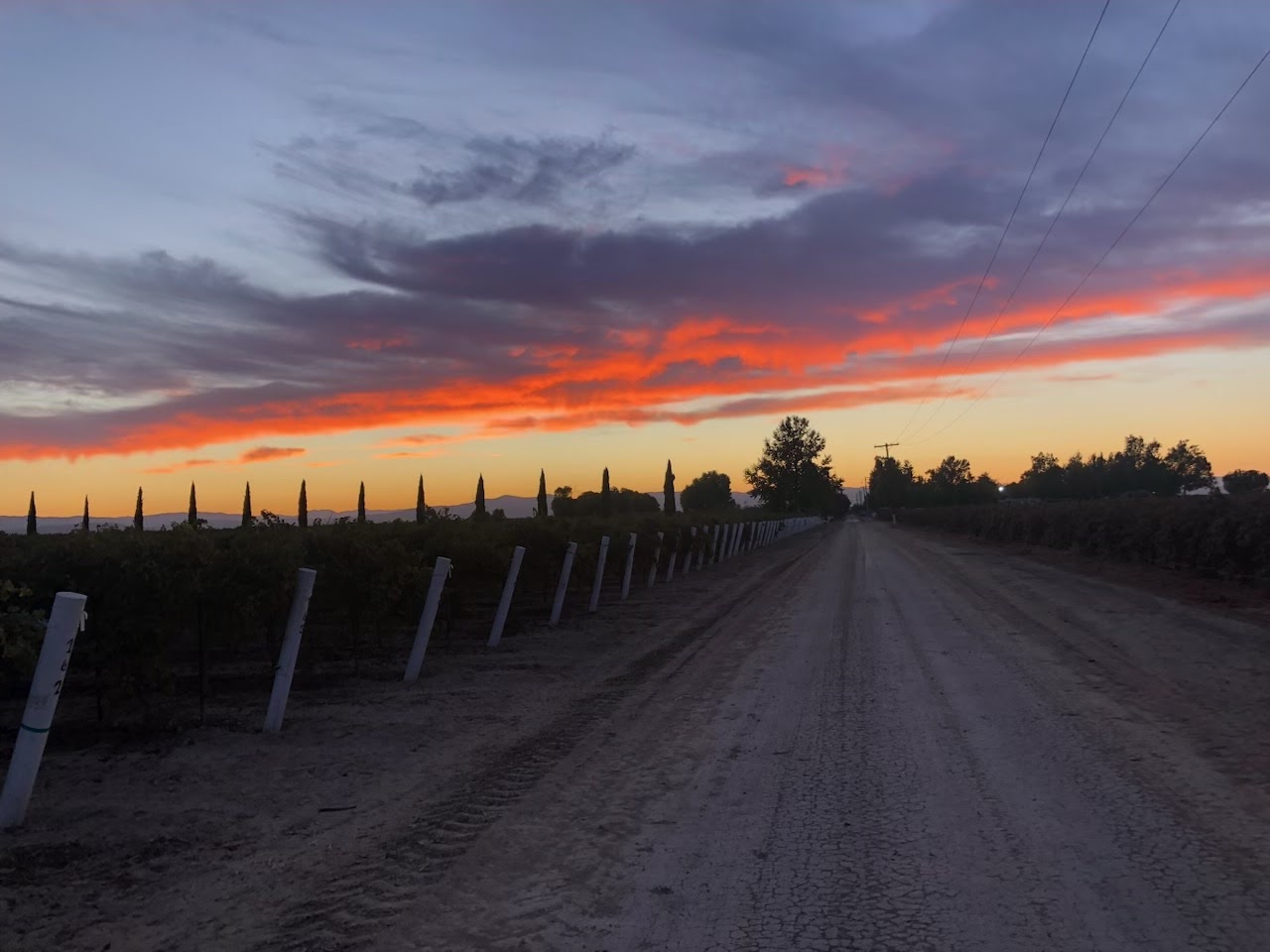 Cardella Winery Menu