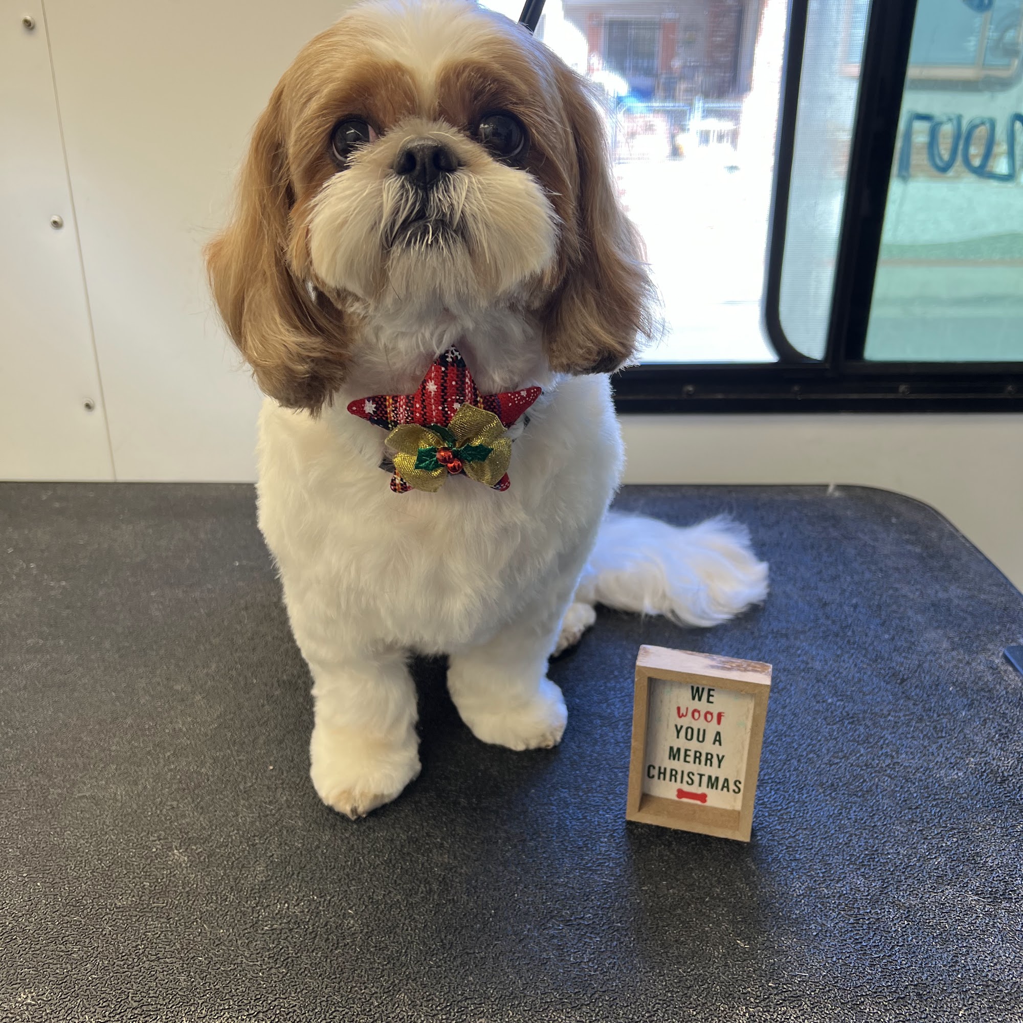 The Pet Parlor Menifee