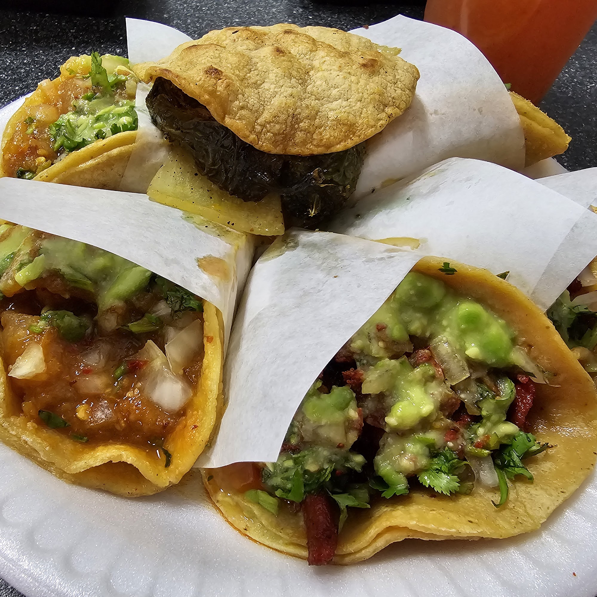 Coyote Taqueria