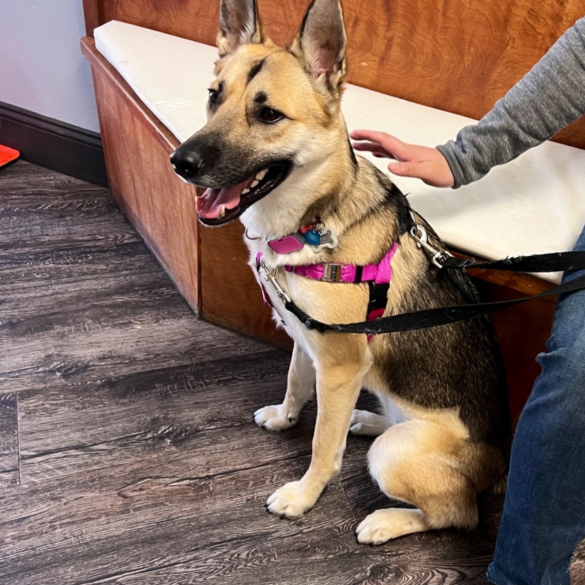 Peninsula Pet Hospital Menlo Park