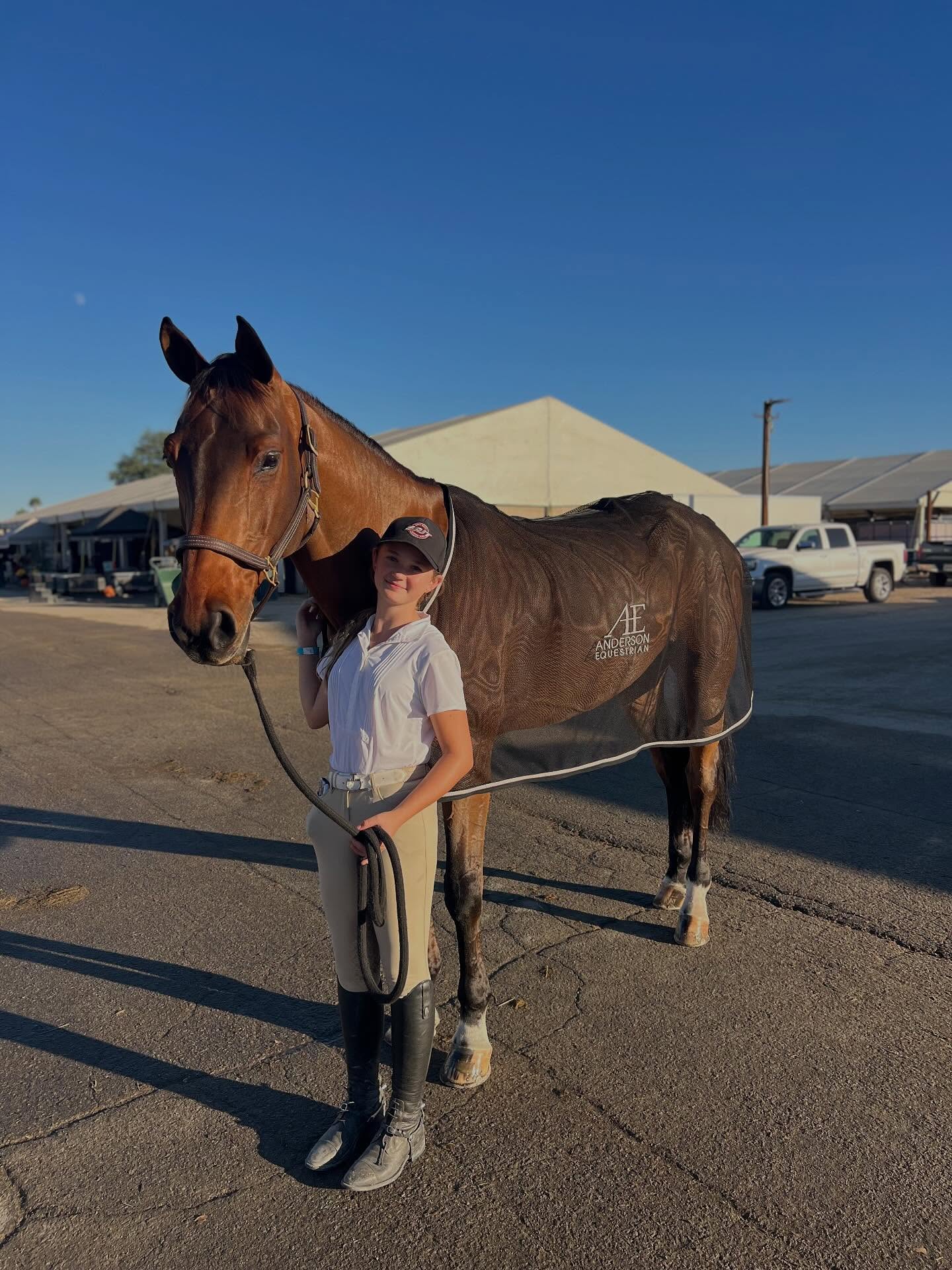Anderson Equestrian