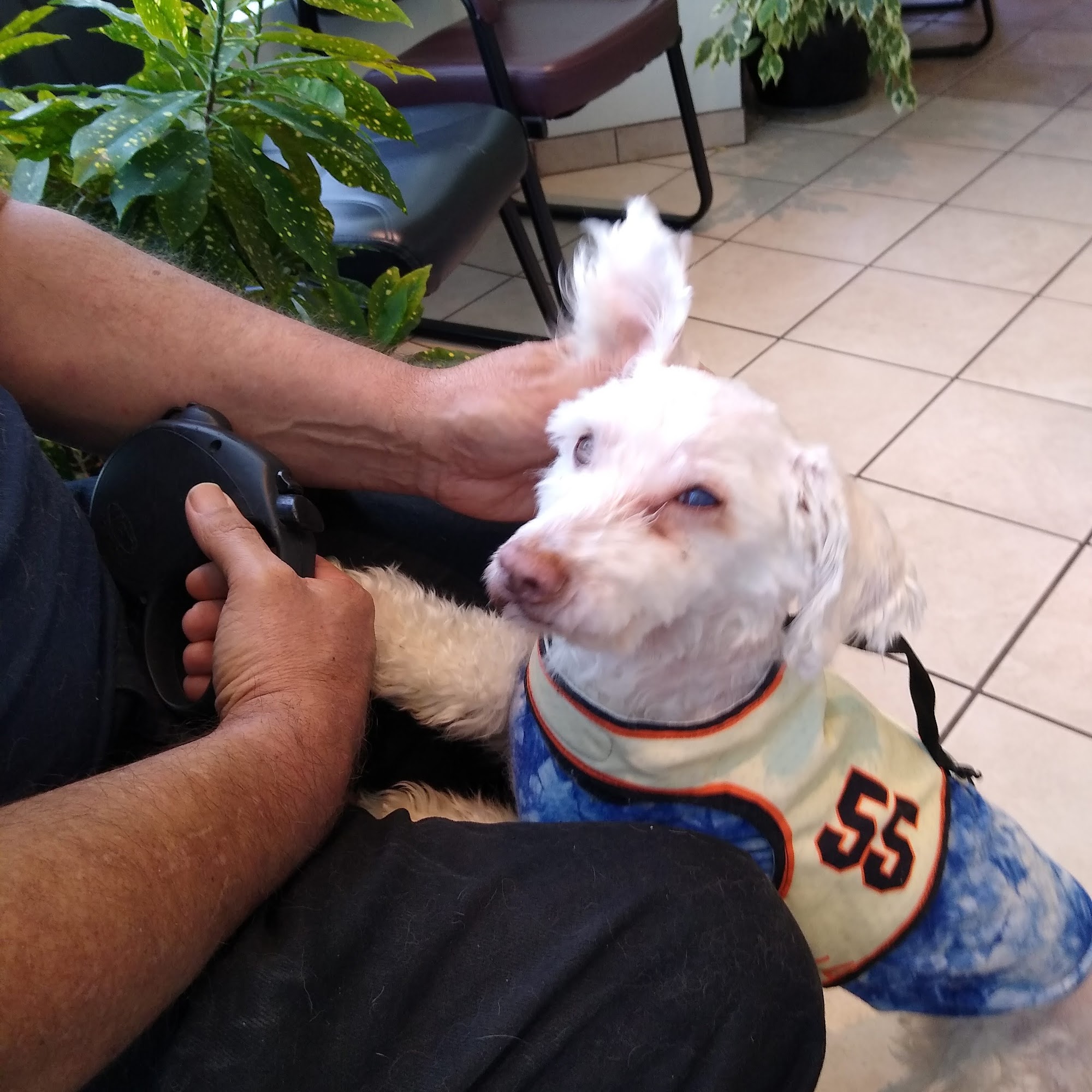 Valley Animal Hospital of Merced Merced