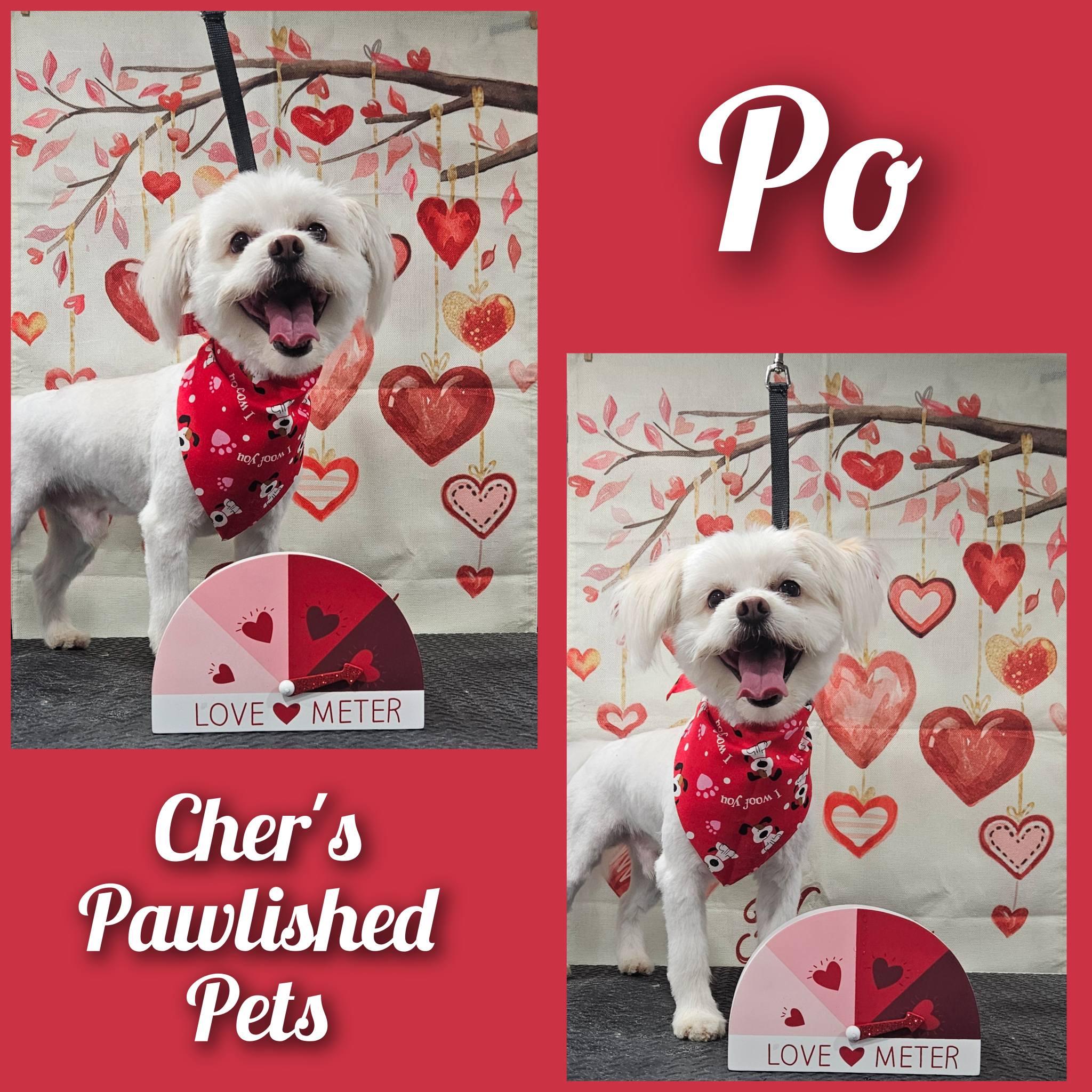 Cher's Pawlished Pets Merced