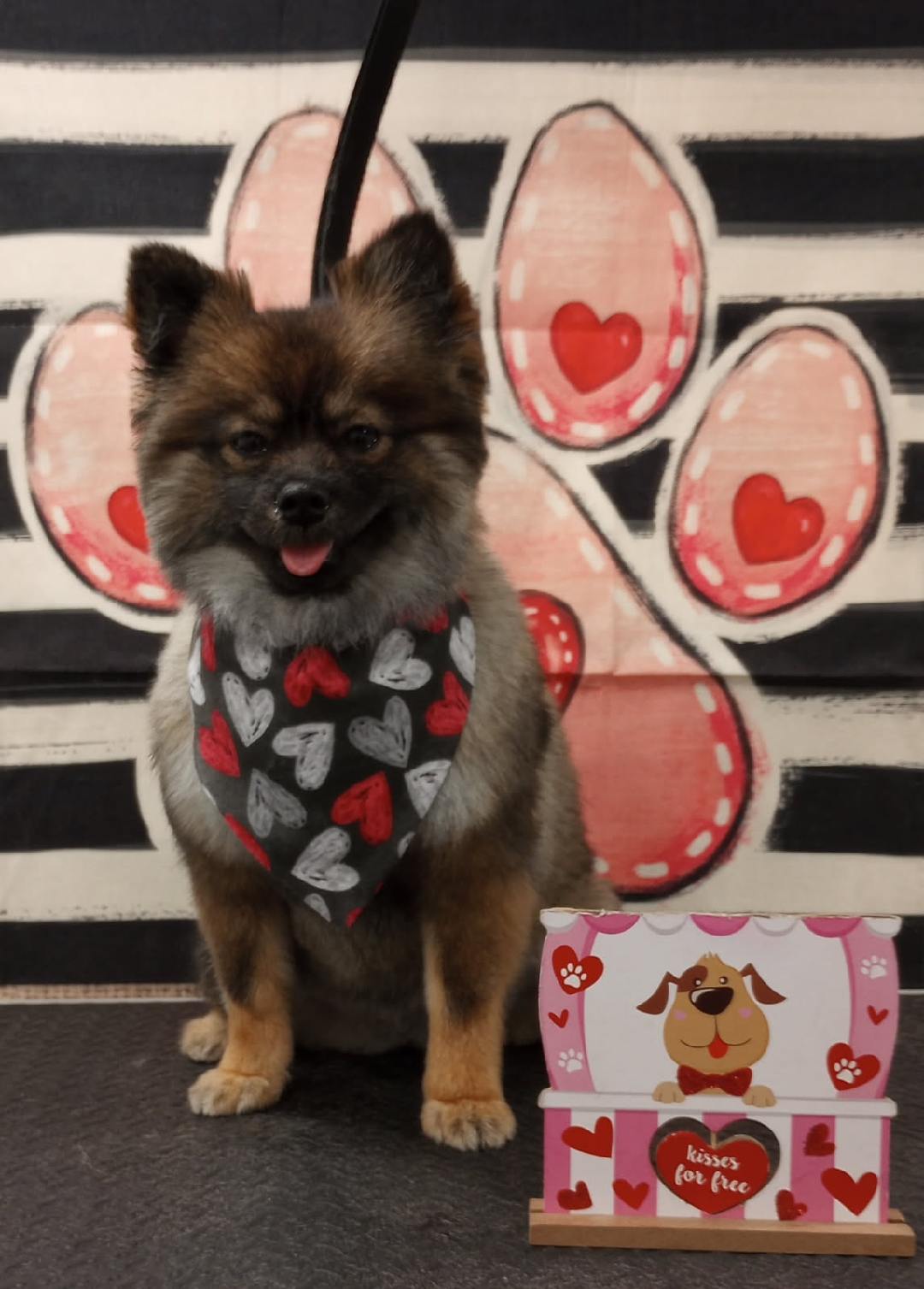 Cher's Pawlished Pets Merced