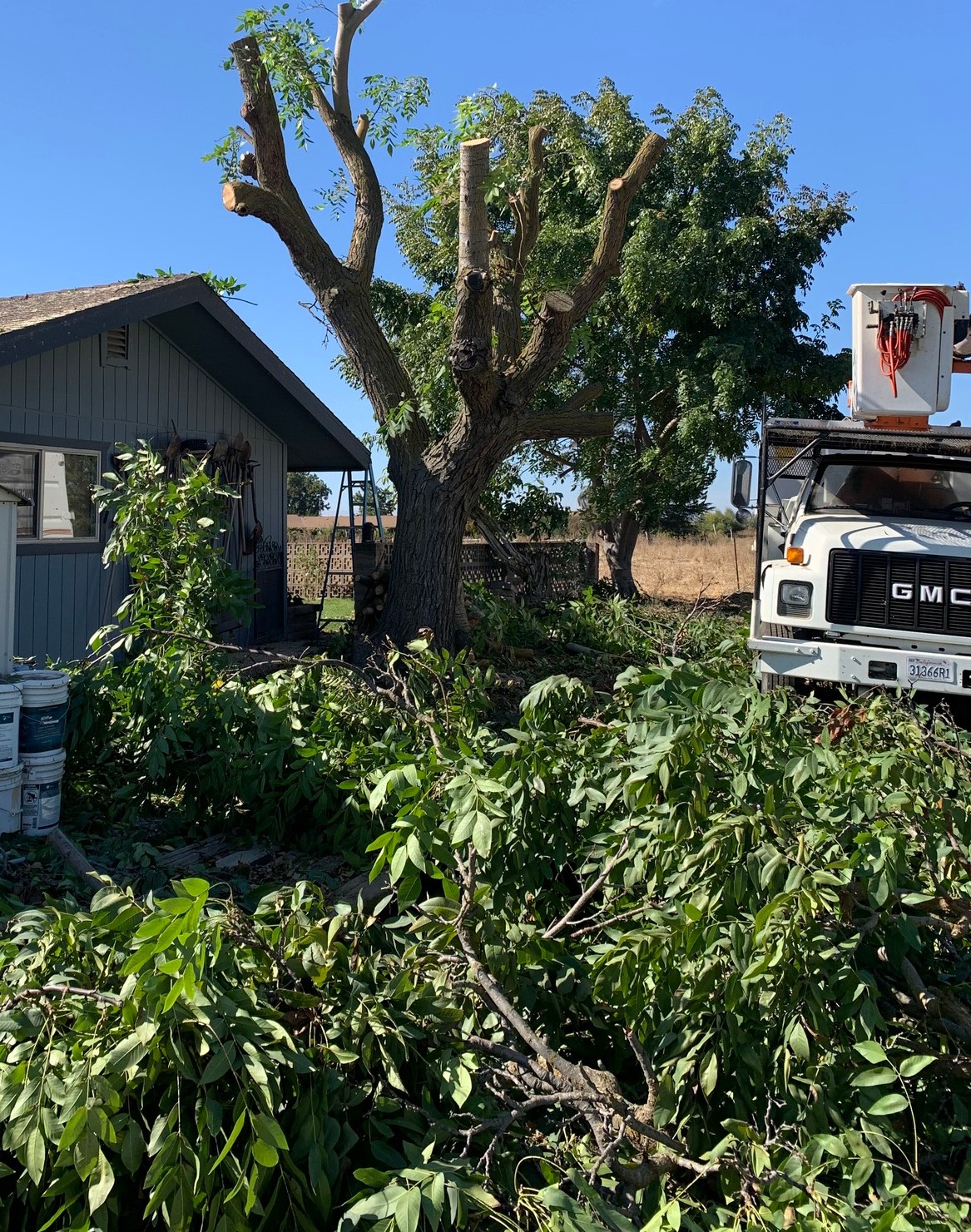Vincent Tree Service Merced California 