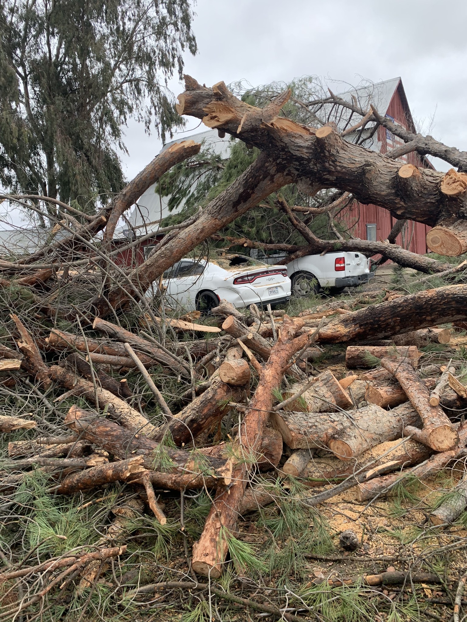 Vincent Tree Service
