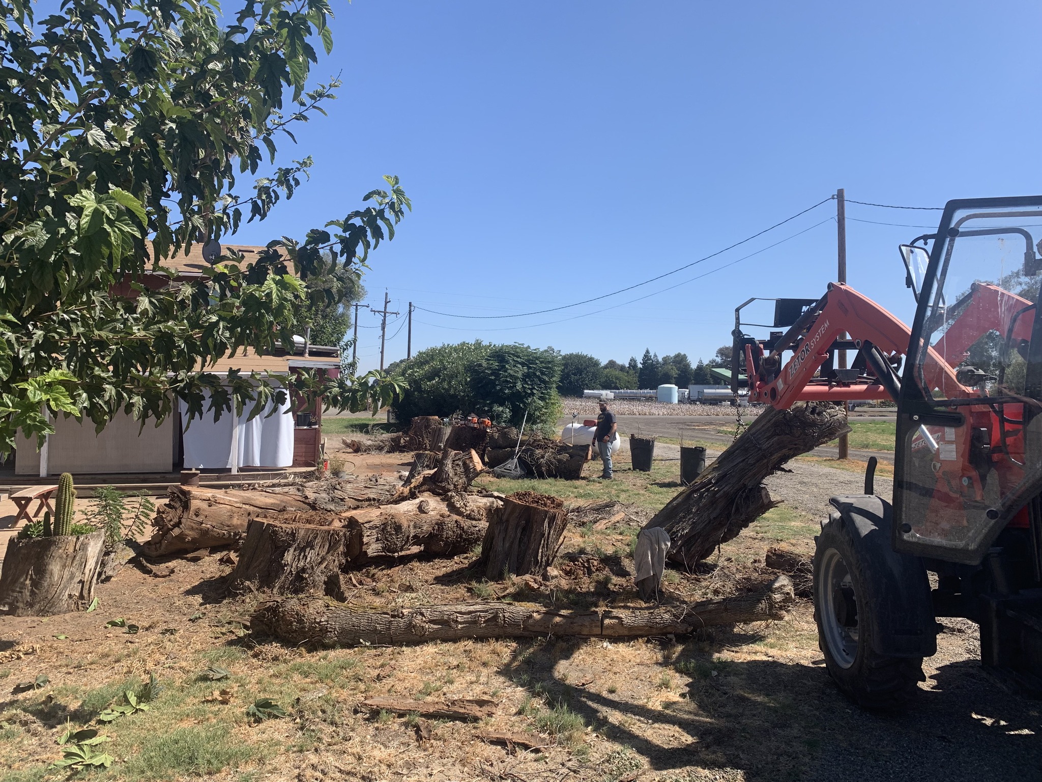 Vincent Tree Service