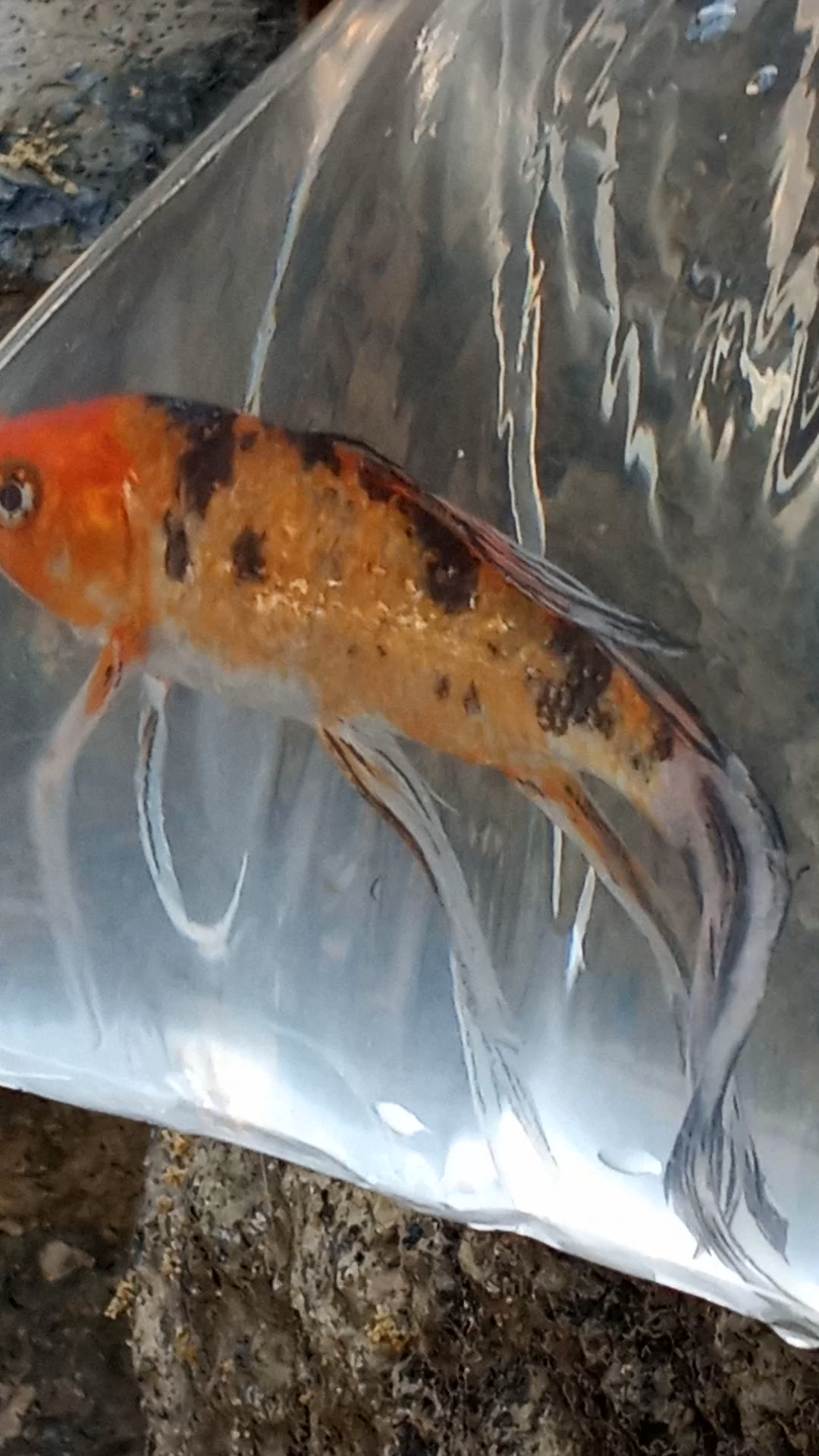 Costco Vision Center