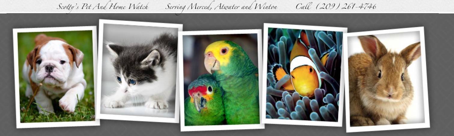 Scotty's Pet and Home Watch