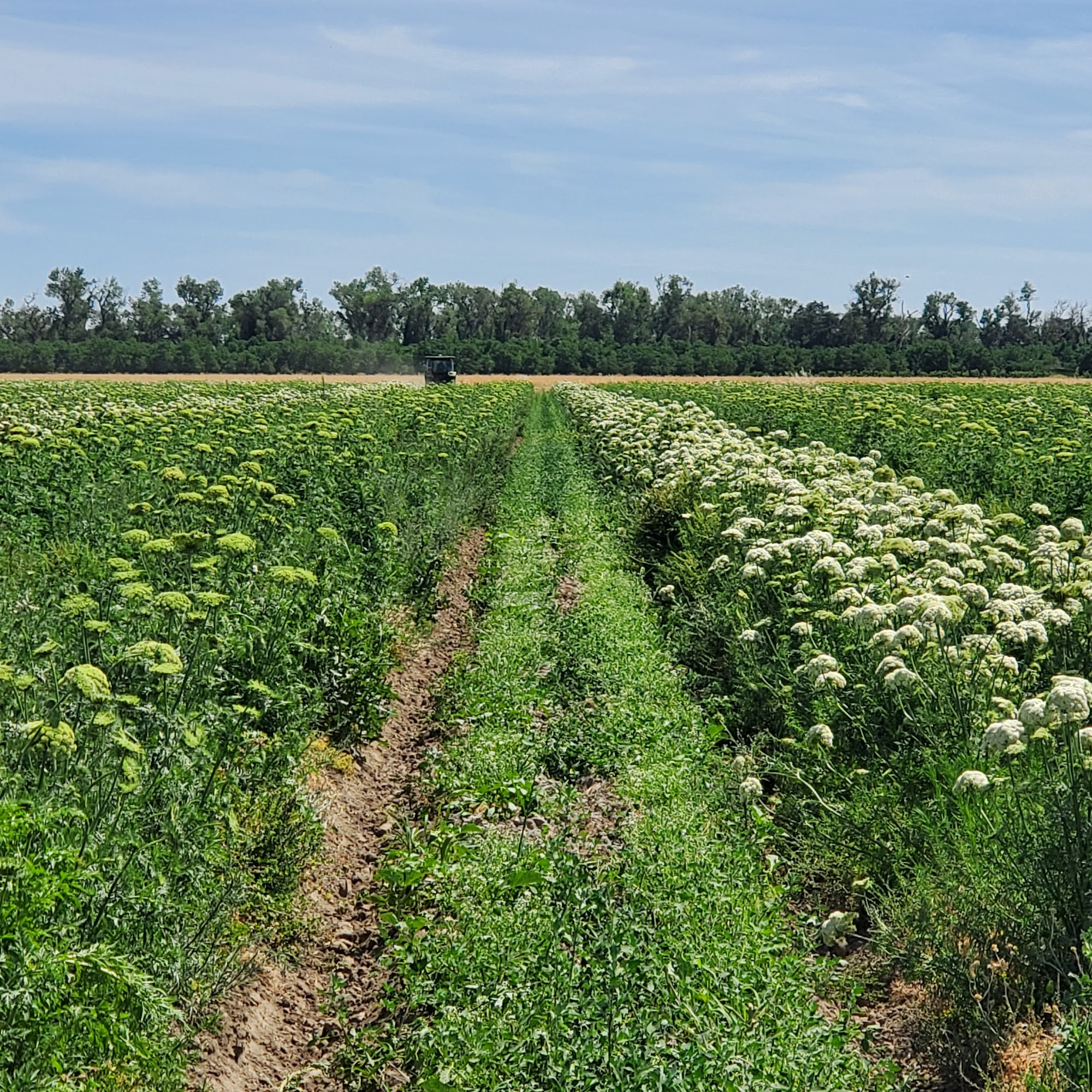Park Farming Meridian