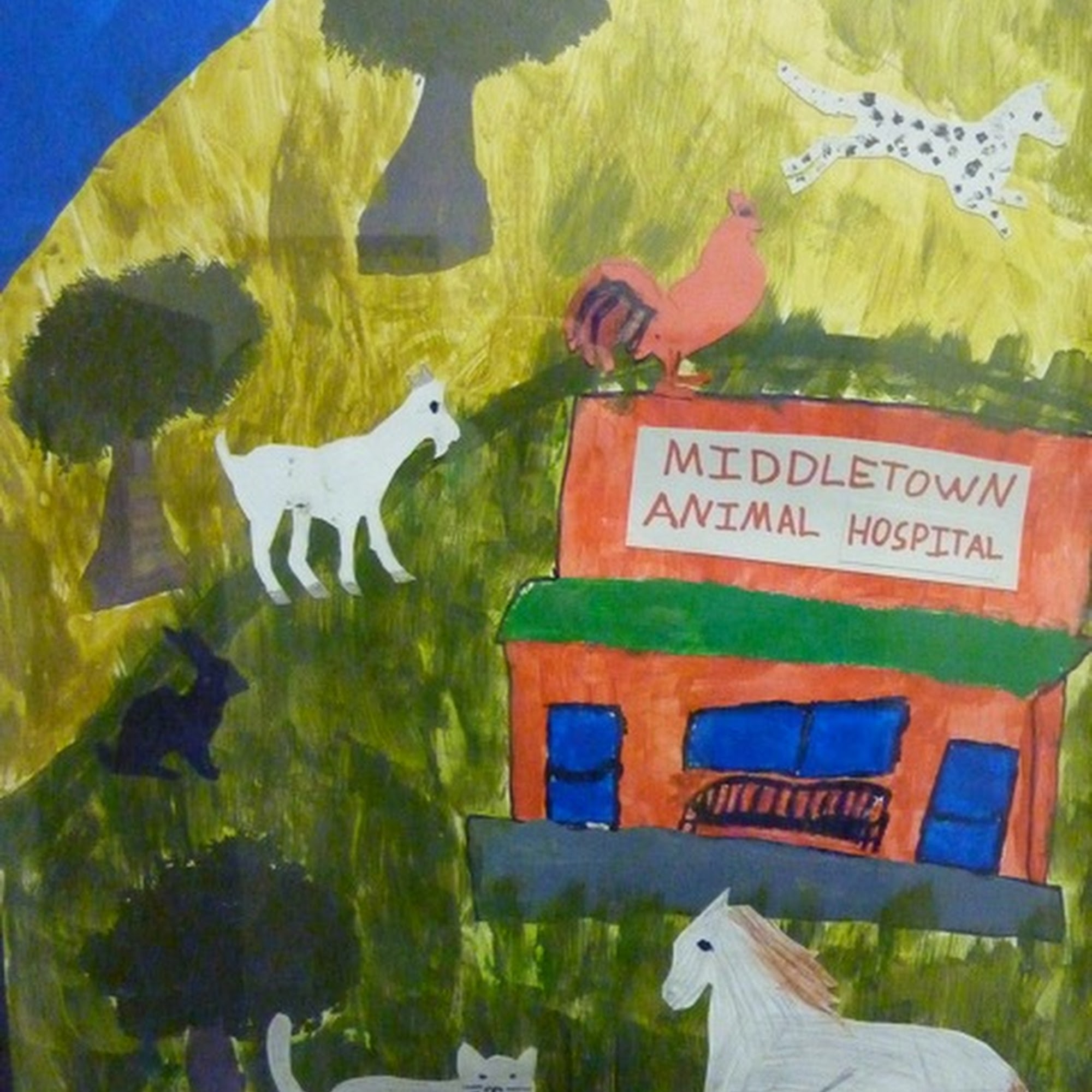 Middletown Animal Hospital Dr. Dana Shackelton Middletown