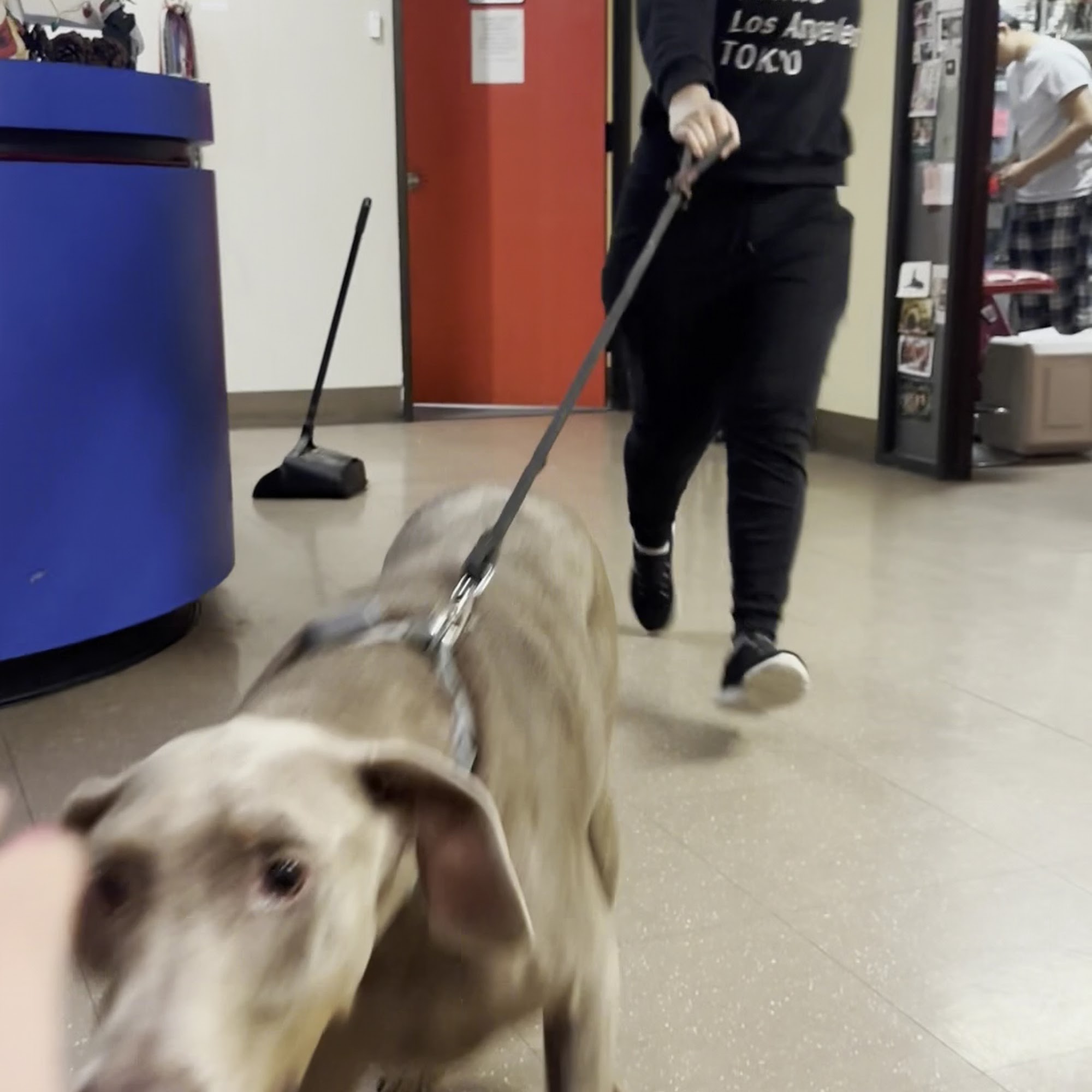 Red Rover Pet Resort Milpitas