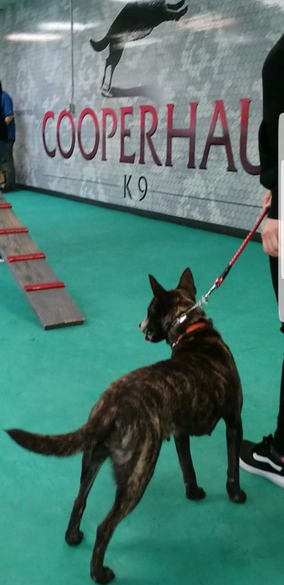 Urban Dog House Milpitas