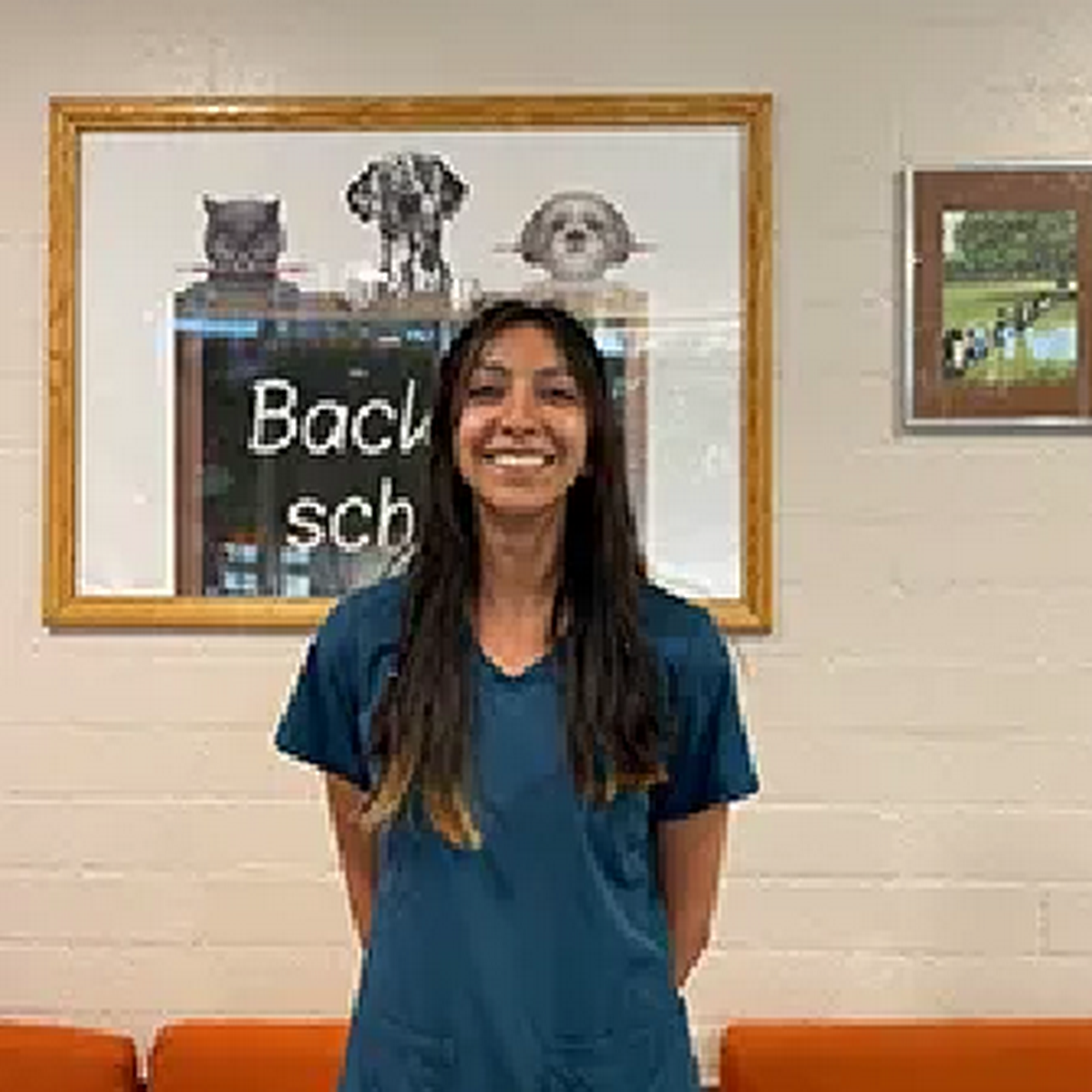 Granada Veterinary Clinic Mission Hills