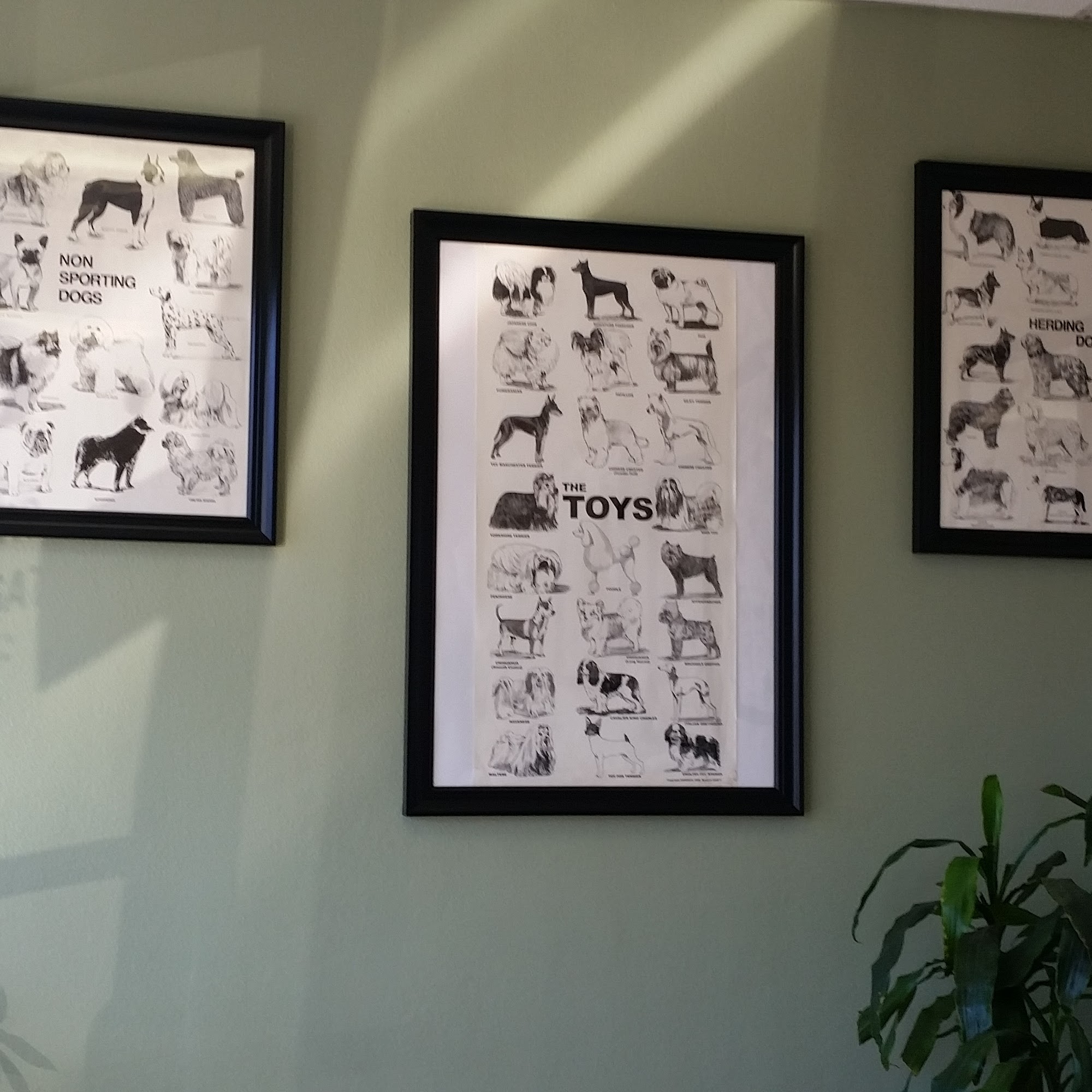 Cali's Pet Grooming Mission Viejo