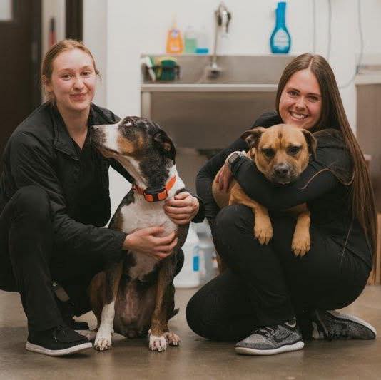 Sendero Animal Hospital Mission Viejo