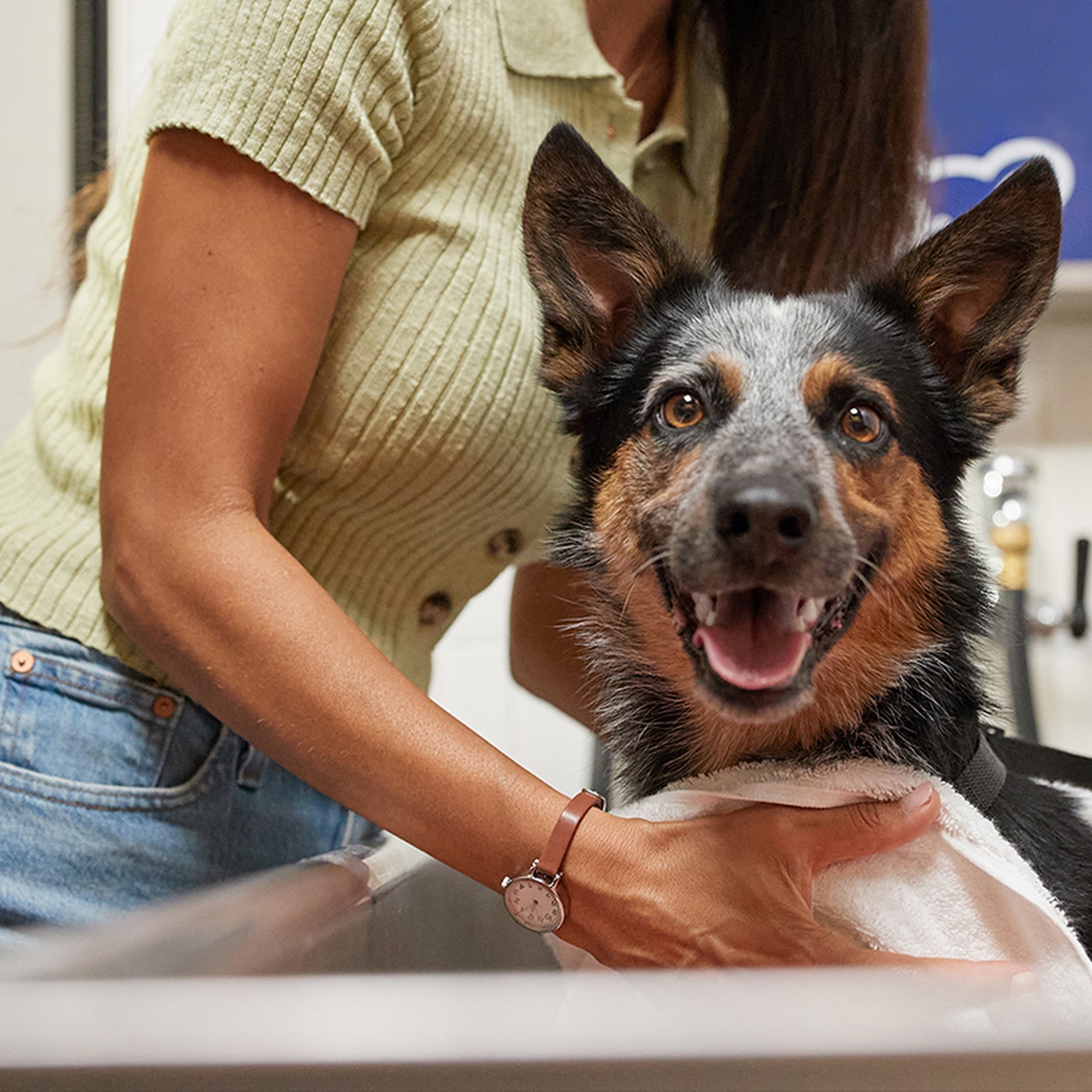 Petco Modesto