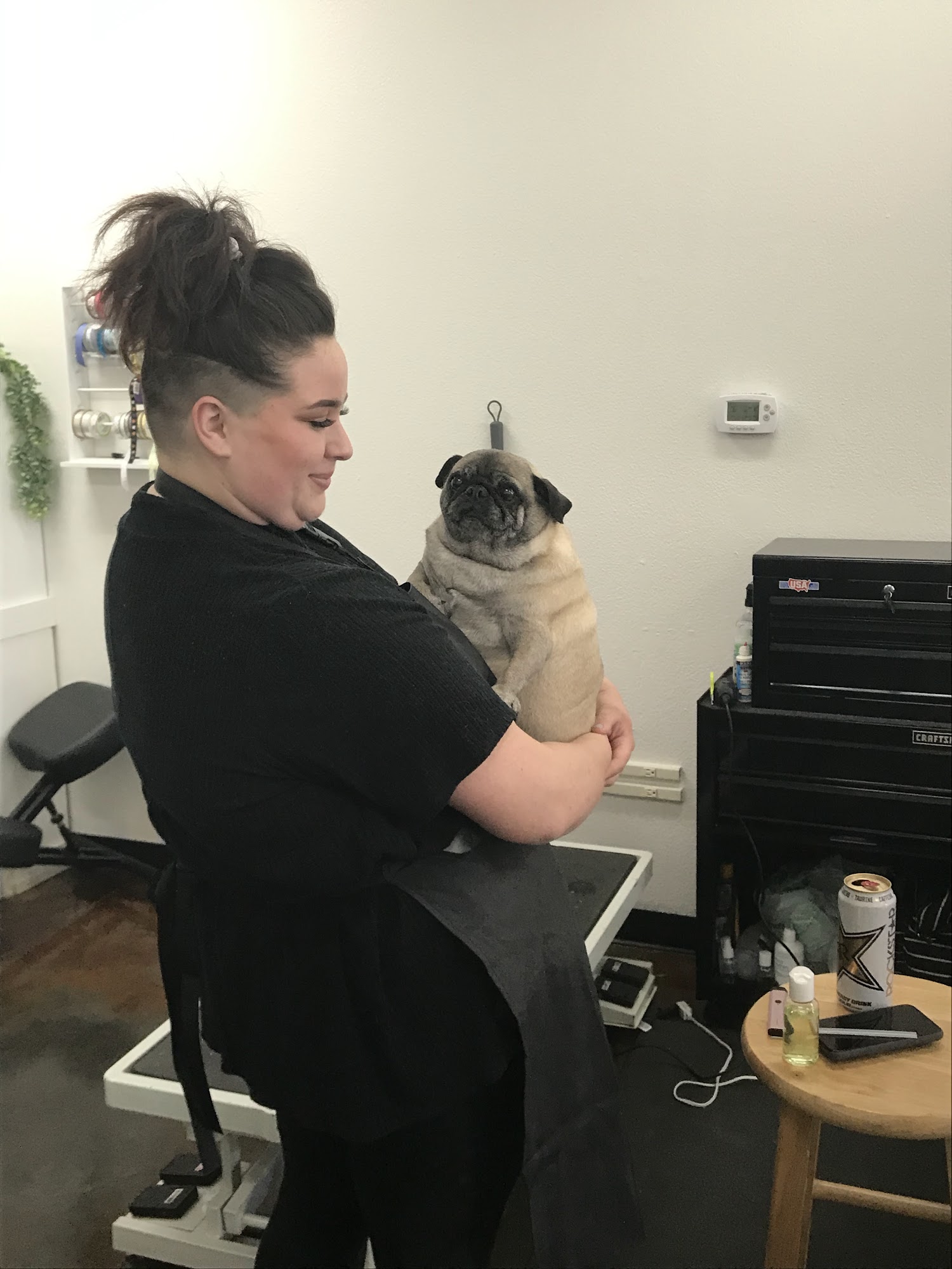 Bark'n Beauties Pet Grooming Modesto