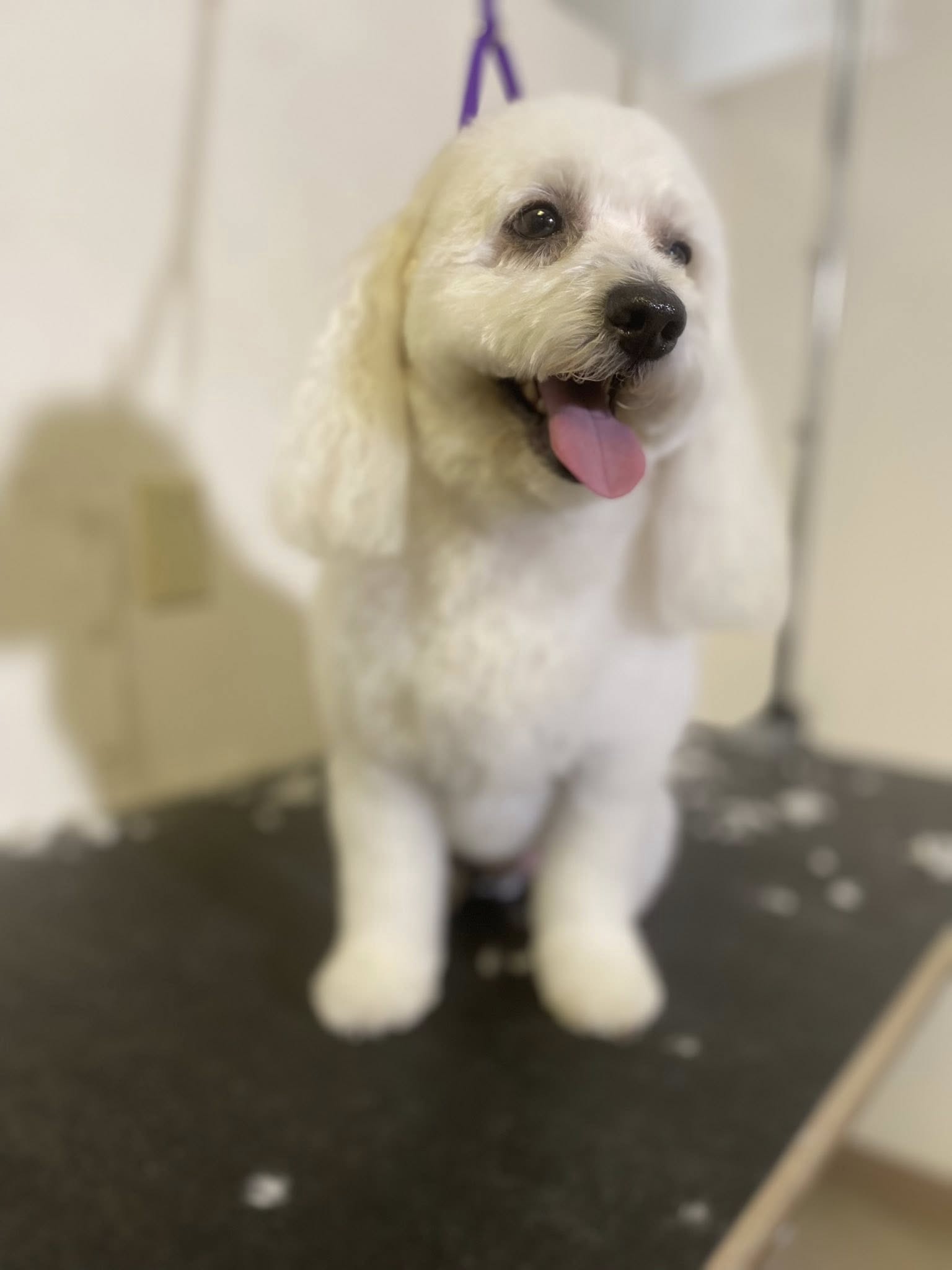 The Groom Room Modesto