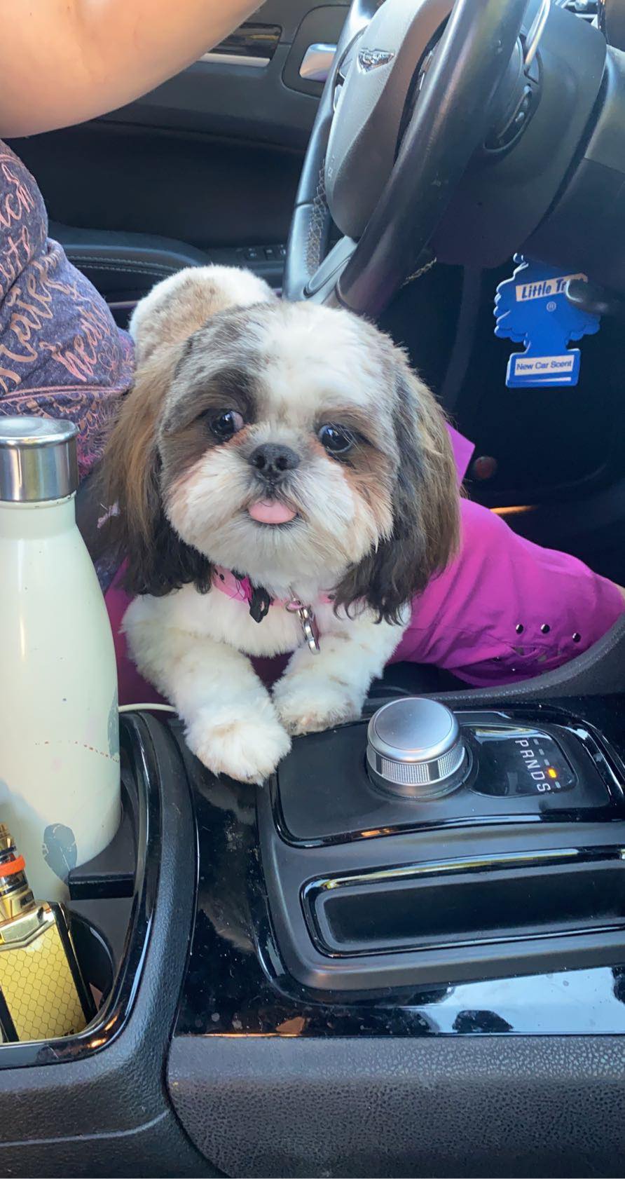 The Groom Room Modesto