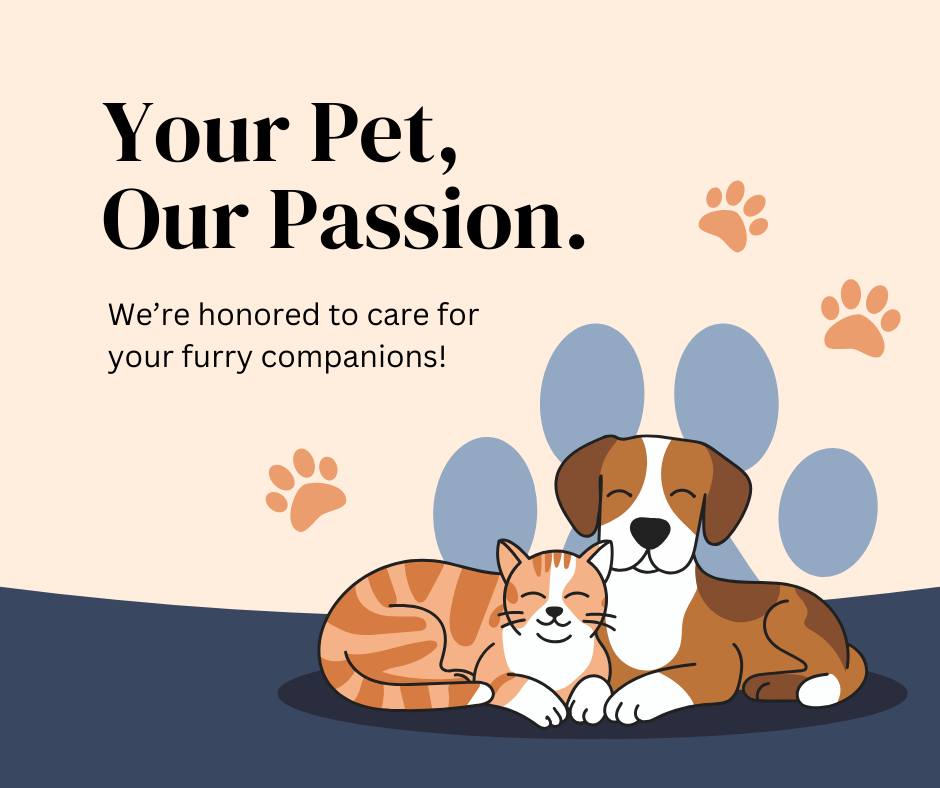 Modesto Family Pet Modesto